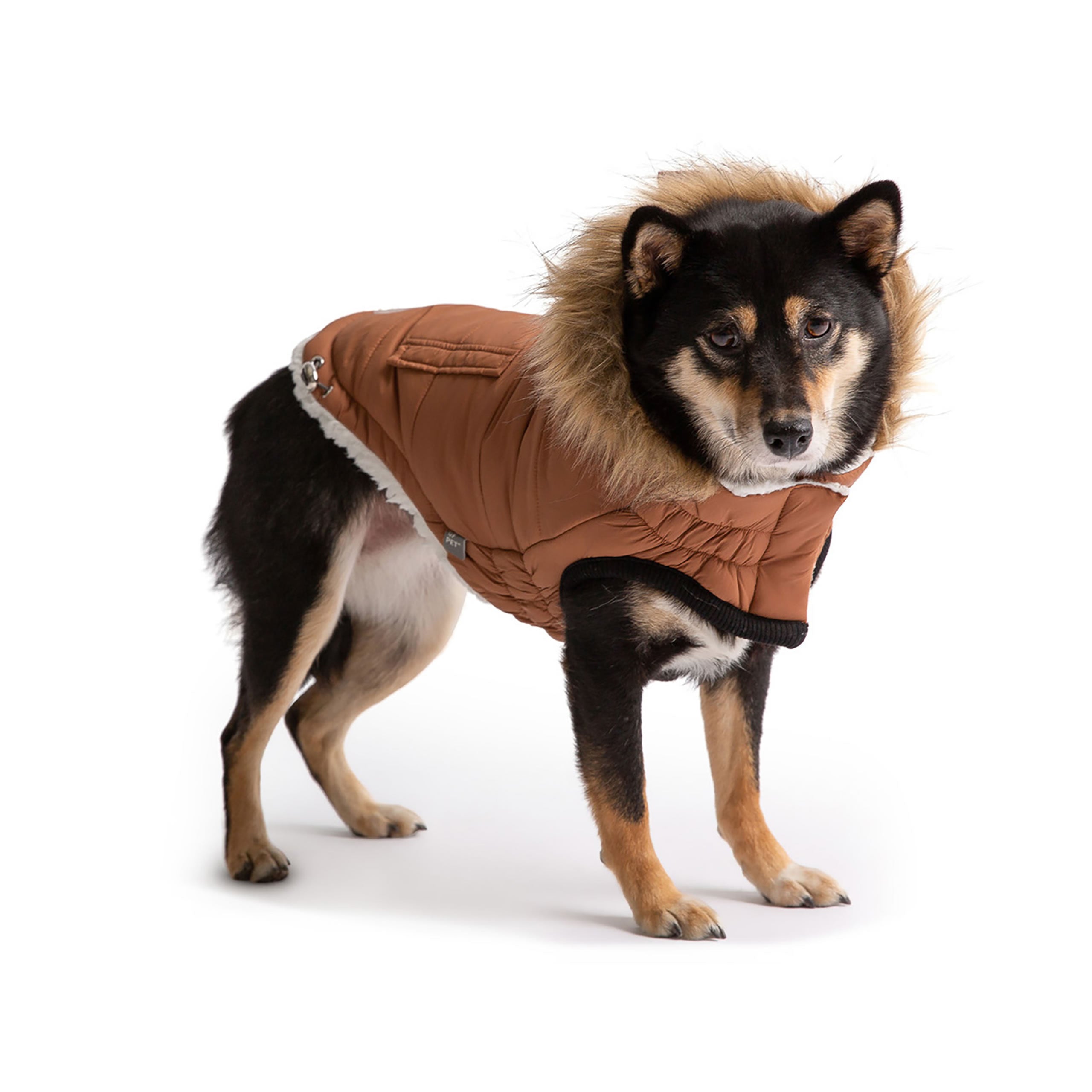 Urban Parka - Caramel premium pet product