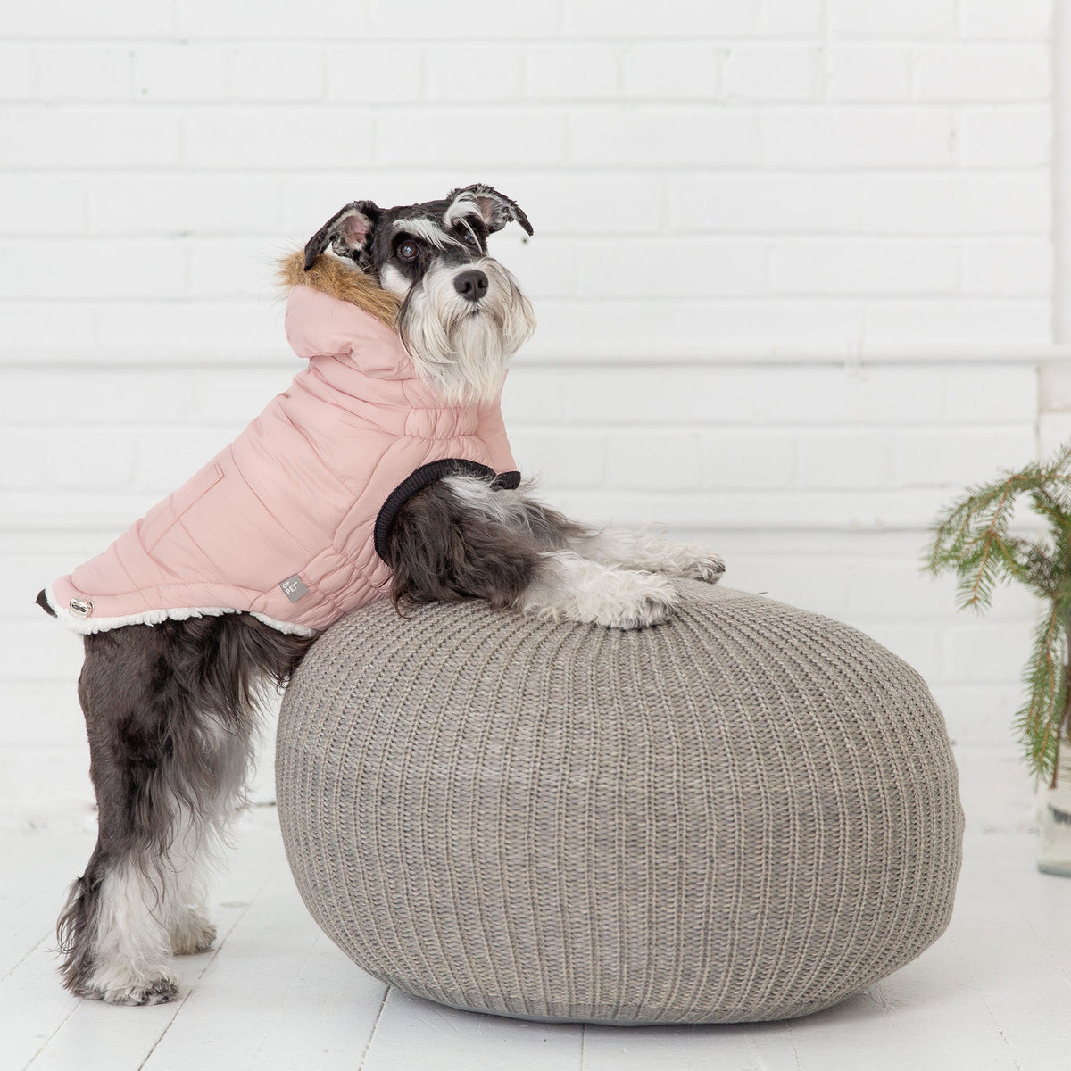 Urban Parka - Pink premium pet product
