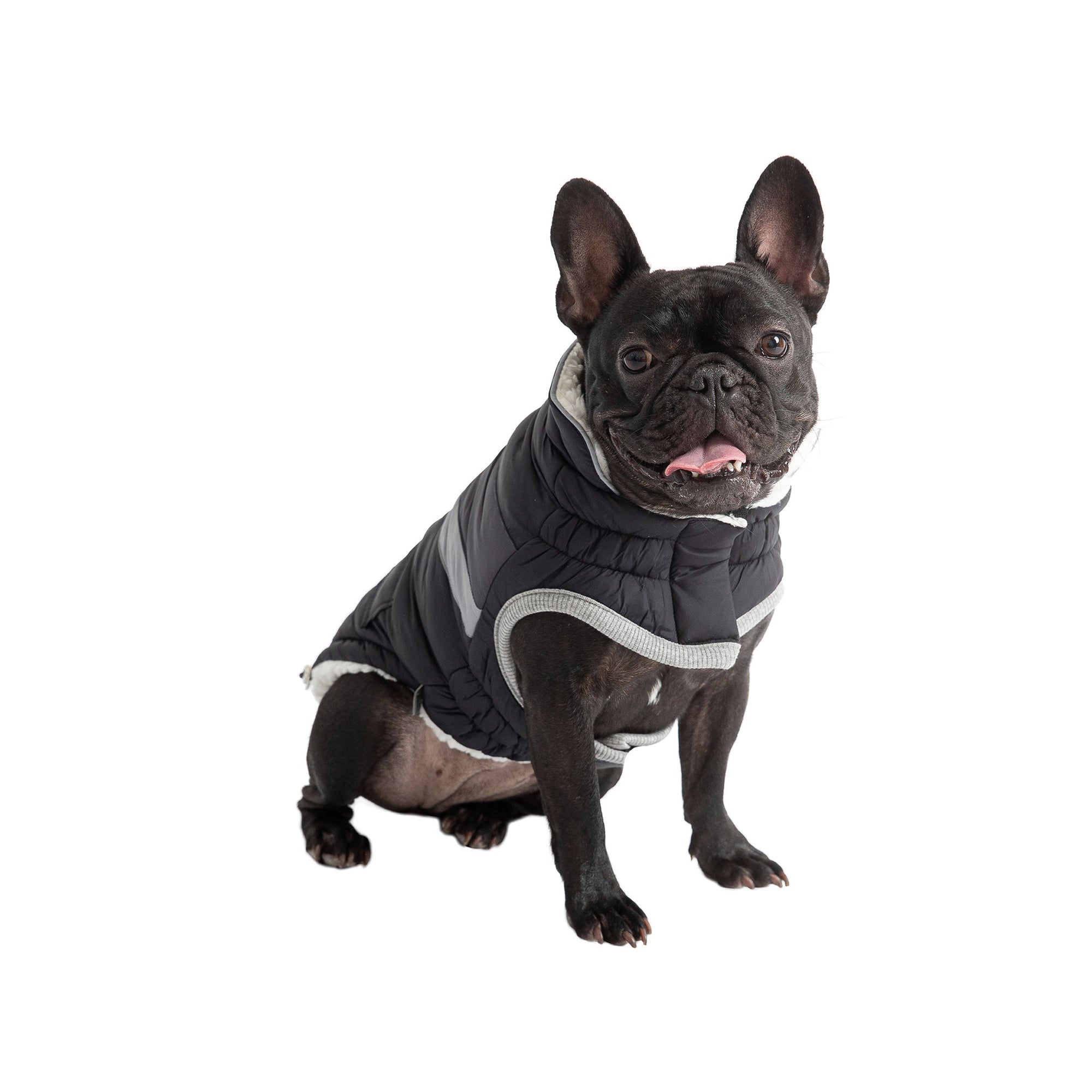 Alpine Puffer - Black premium pet product