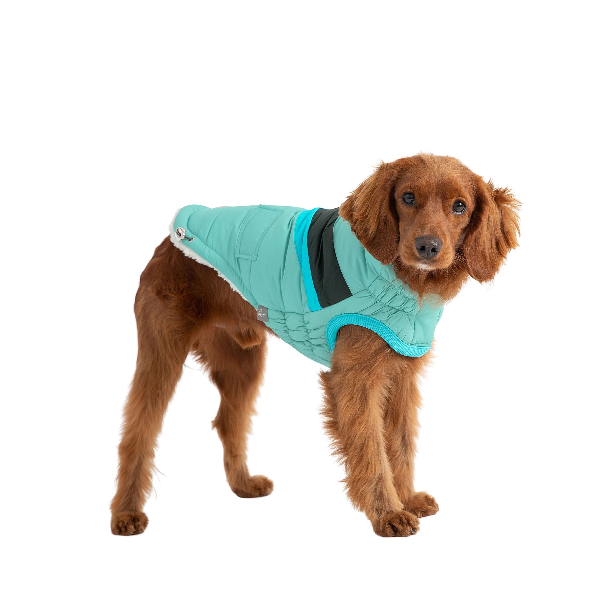 Alpine Puffer - Light Aqua premium pet product