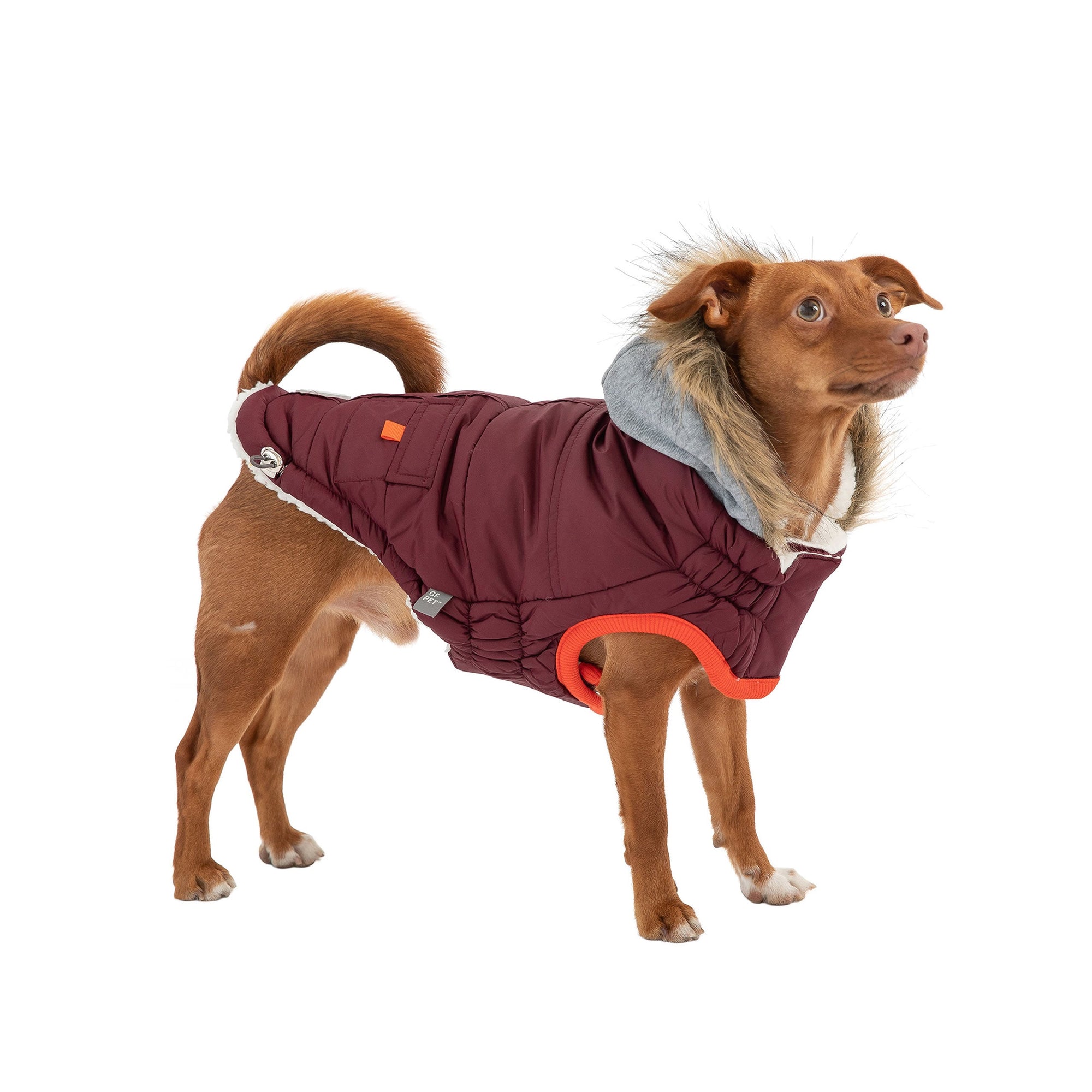 Winter Sailor Parka - Burgundy premium pet product