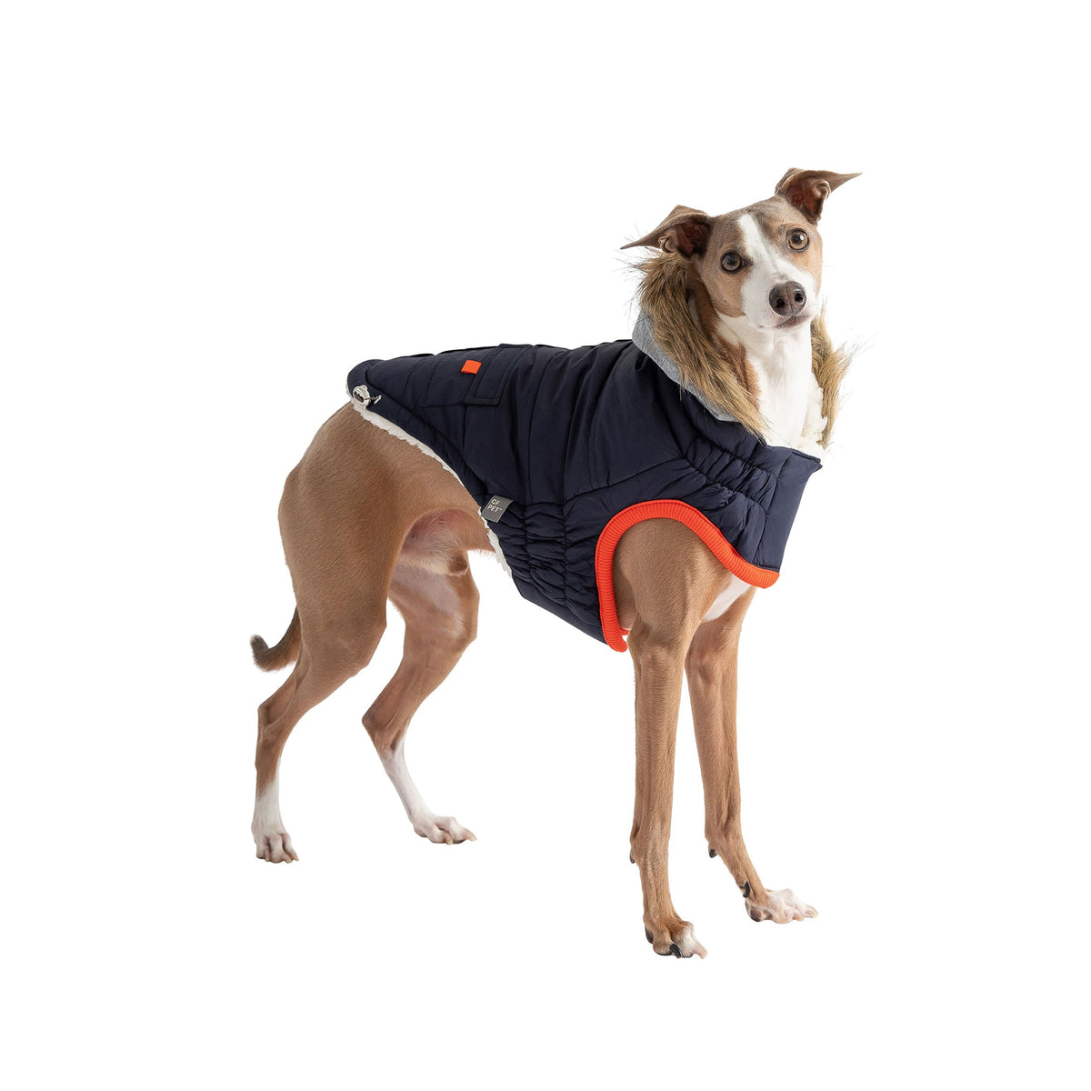 Winter Sailor Parka - Navy premium pet product
