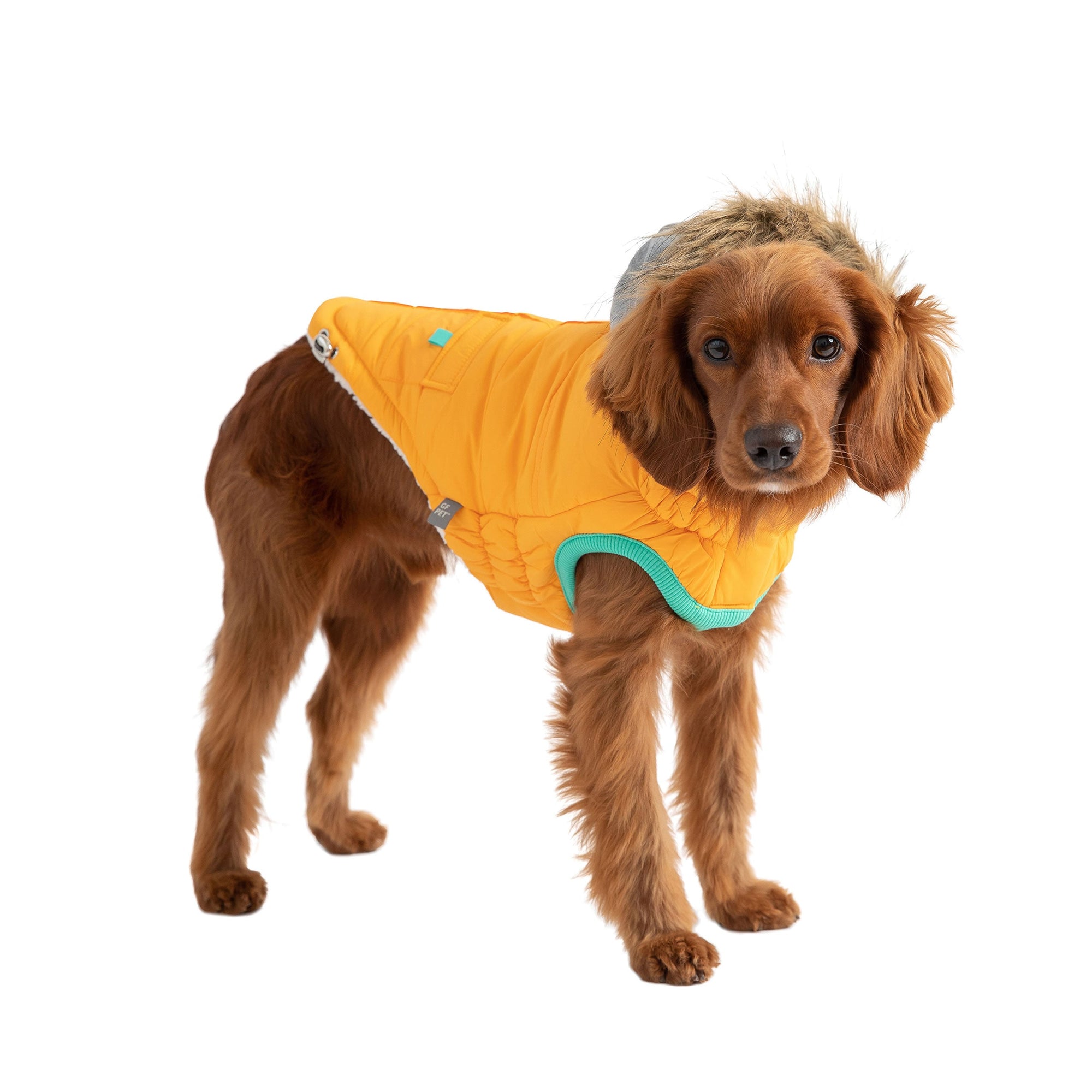 Winter Sailor Parka - Yellow premium pet product