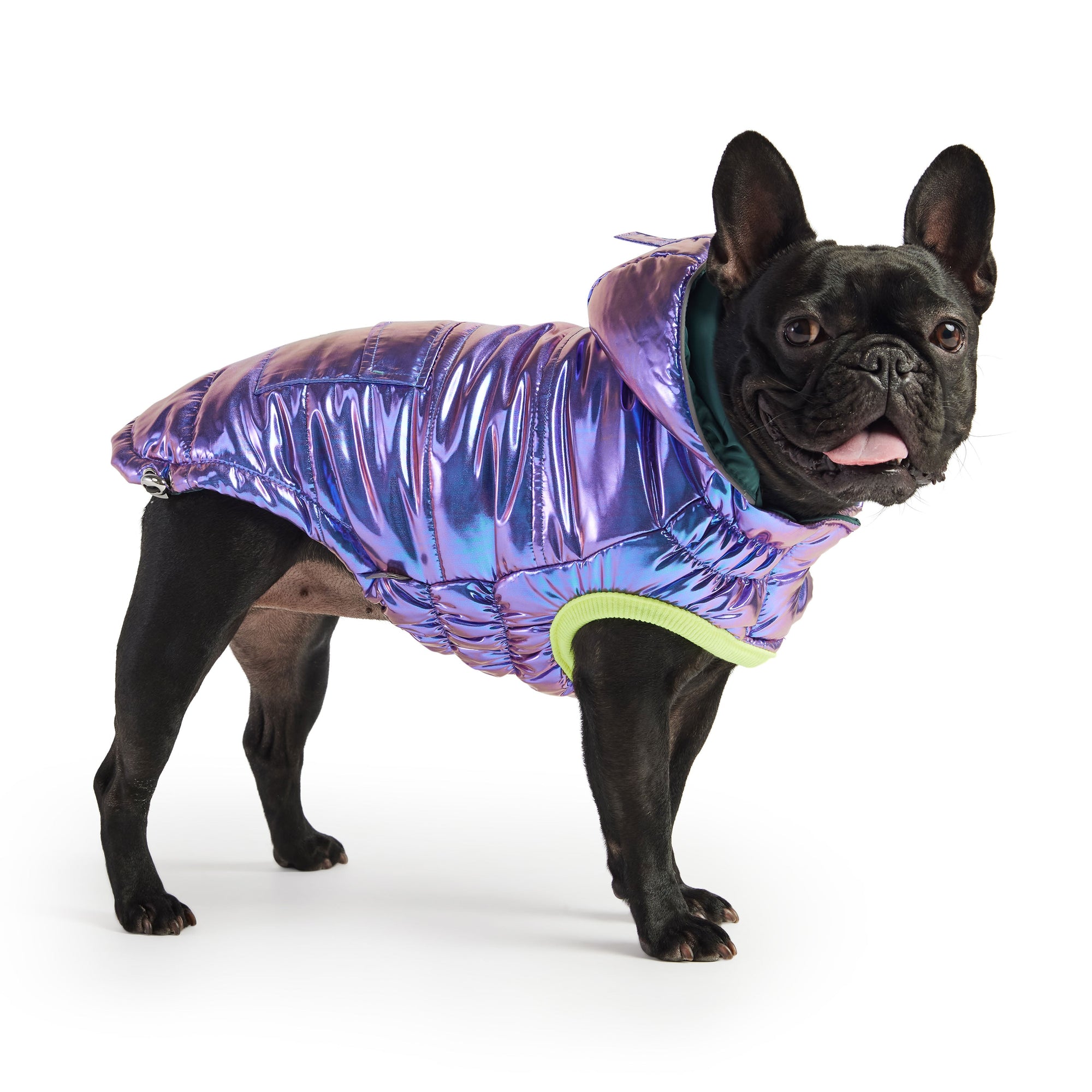 Recycled Parka - Iridescent premium pet product