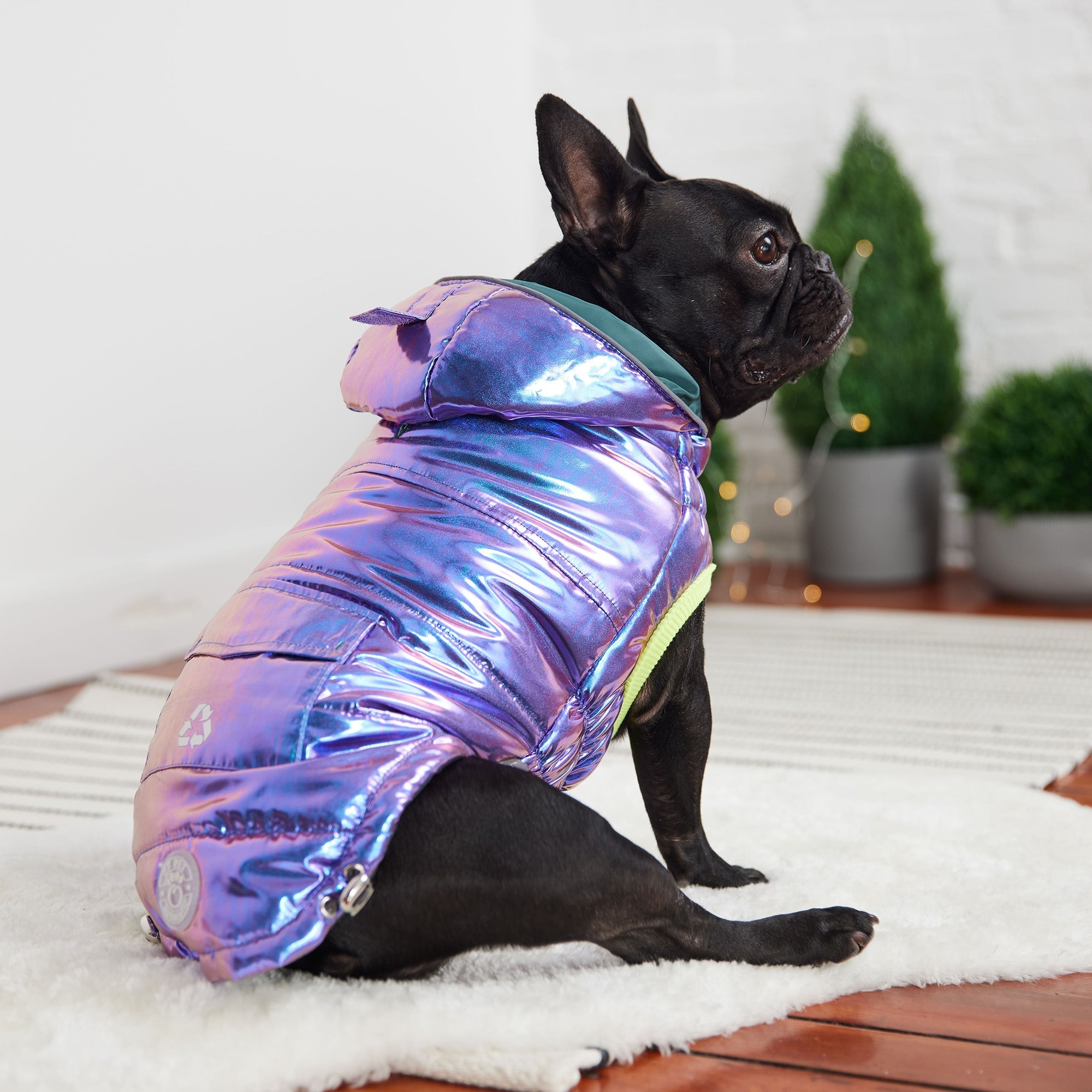 Recycled Parka - Iridescent premium pet product