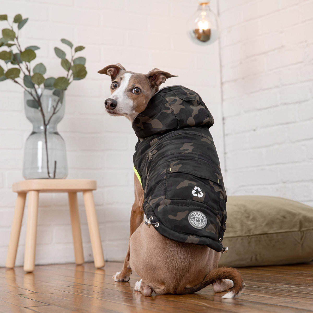 Recycled Parka - Camouflage premium pet product