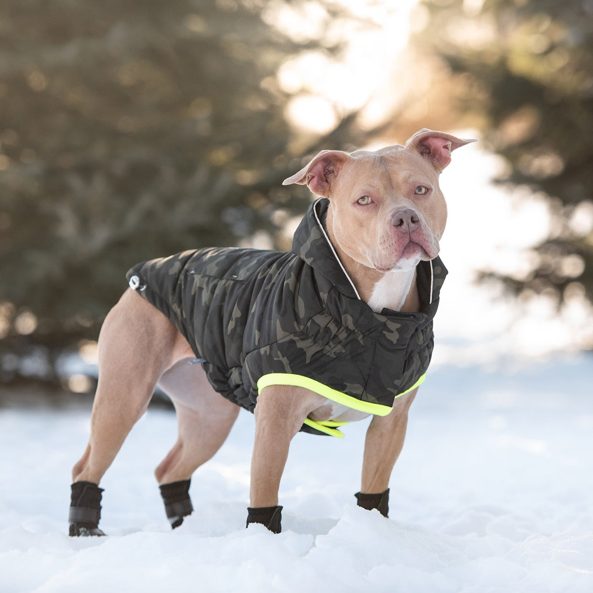 Recycled Parka - Camouflage premium pet product