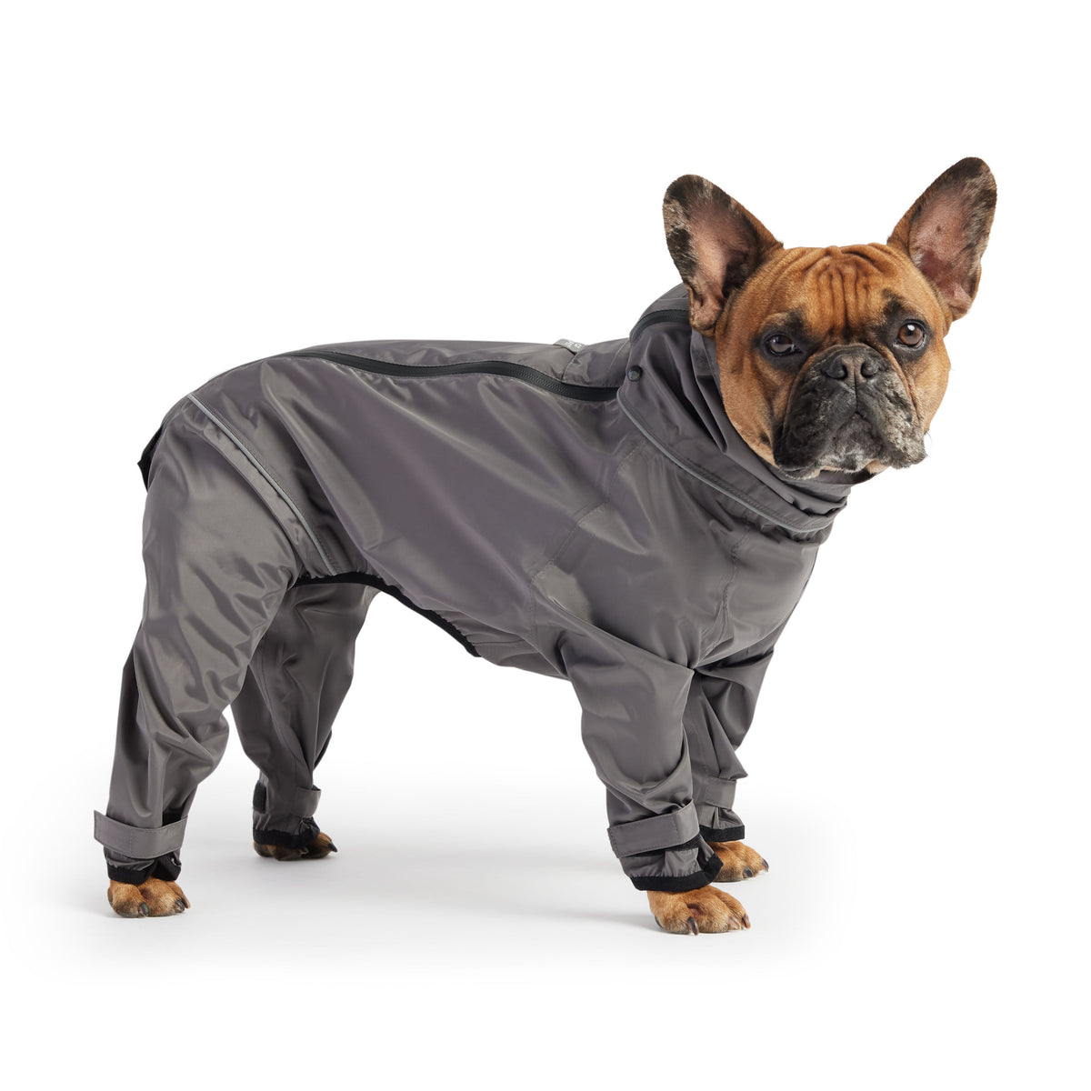 Splash Suit - Charcoal premium pet product