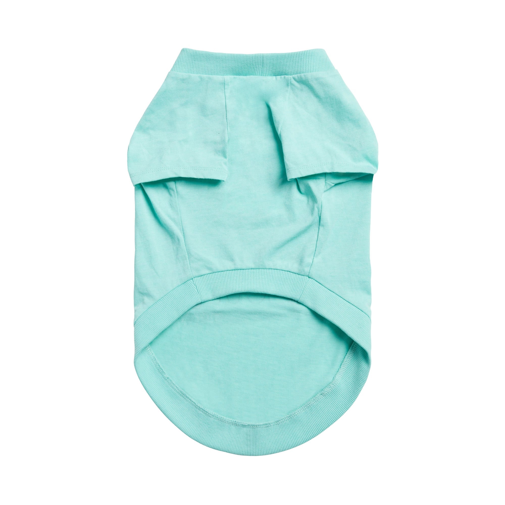 Graphic Tee - Aqua premium pet product