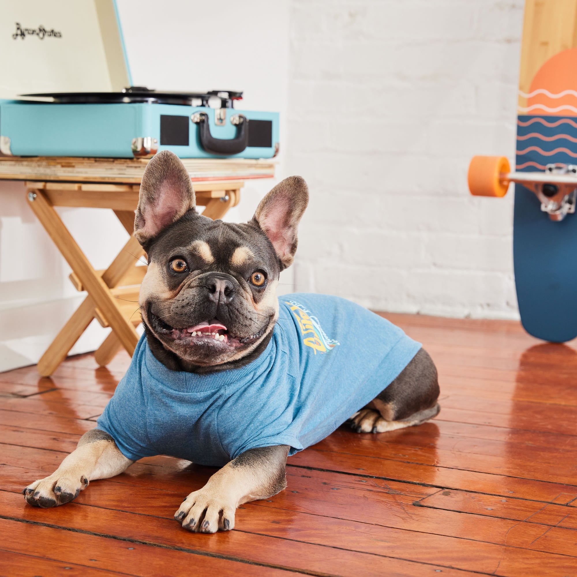 Graphic Tee - Blue premium pet product