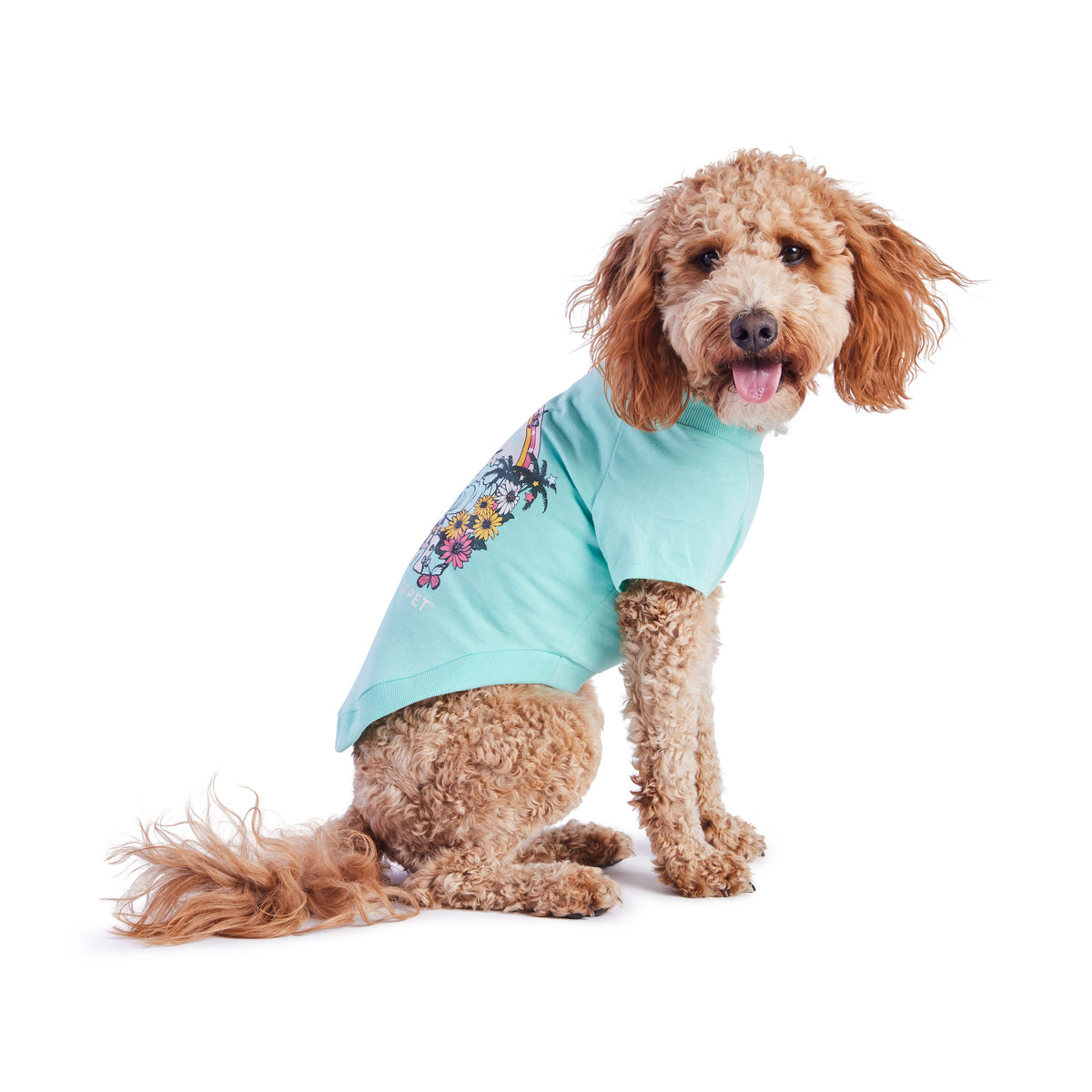 GF Pet Graphic Dog T Shirt in Heatheraqua