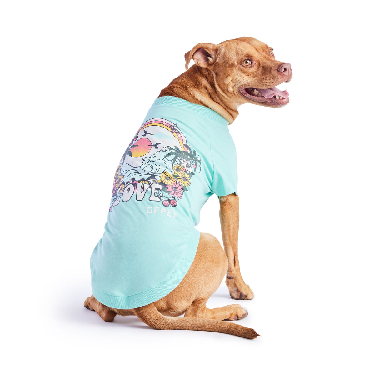 GF Pet Graphic Dog T Shirt in Heatheraqua