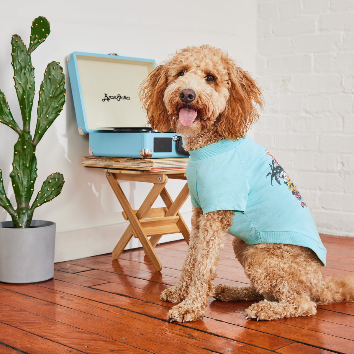GF Pet Graphic Dog T Shirt in Heatheraqua