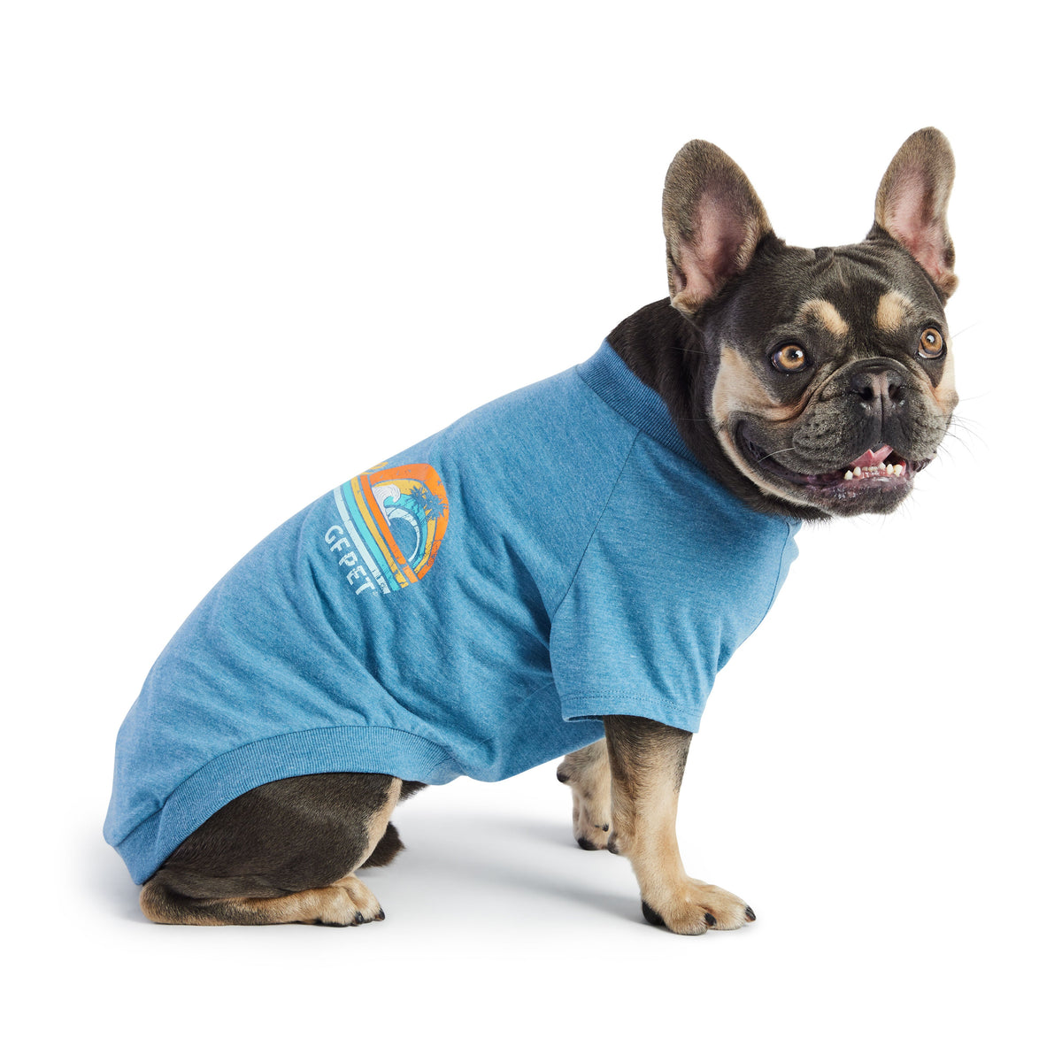 GF Pet Graphic Dog T Shirt in Heather Blue