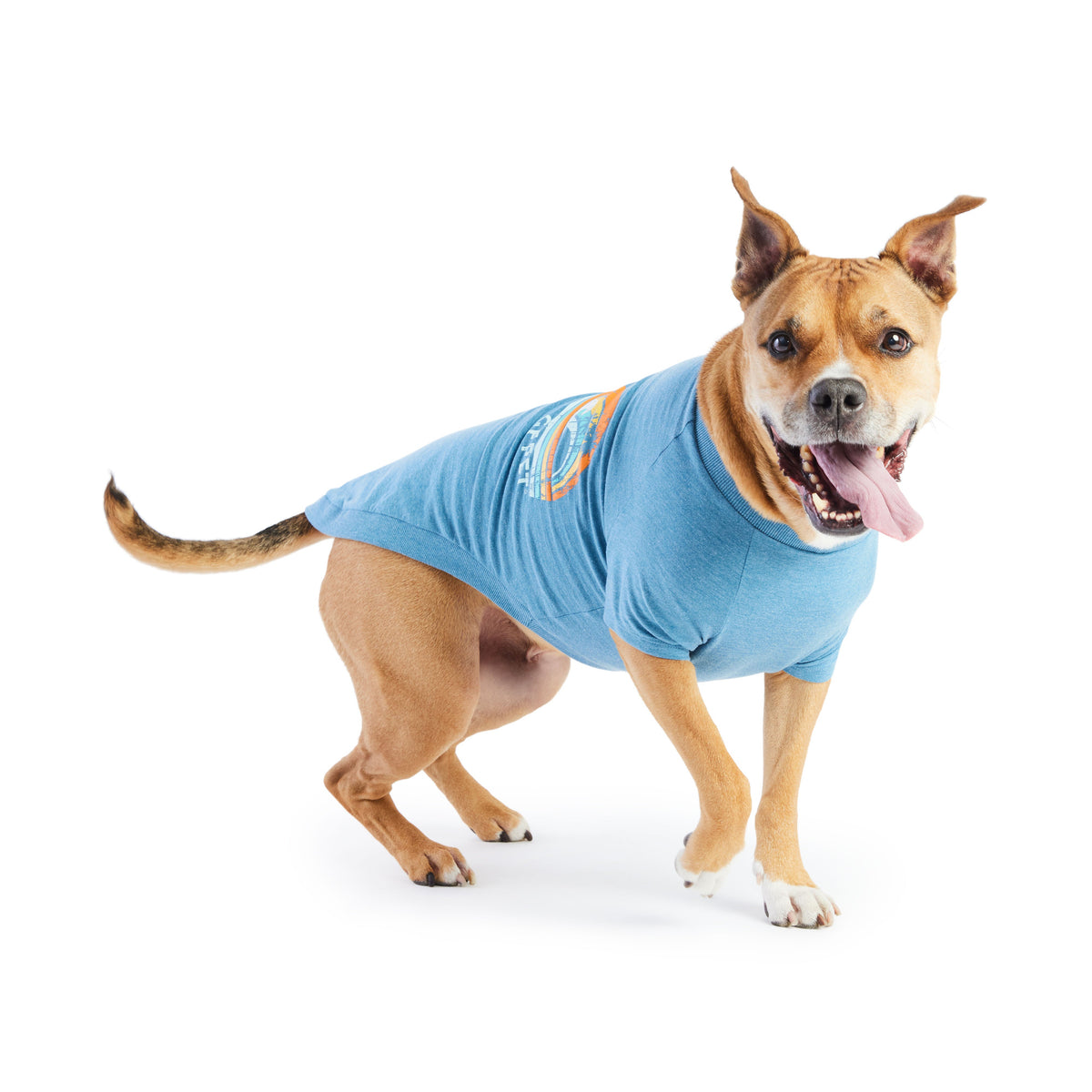 GF Pet Graphic Dog T Shirt in Heather Blue