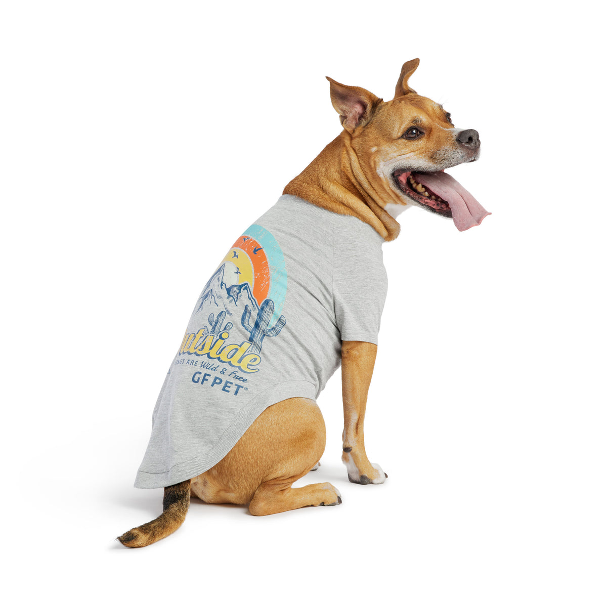 GF Pet Graphic Dog T Shirt in Heathergrey