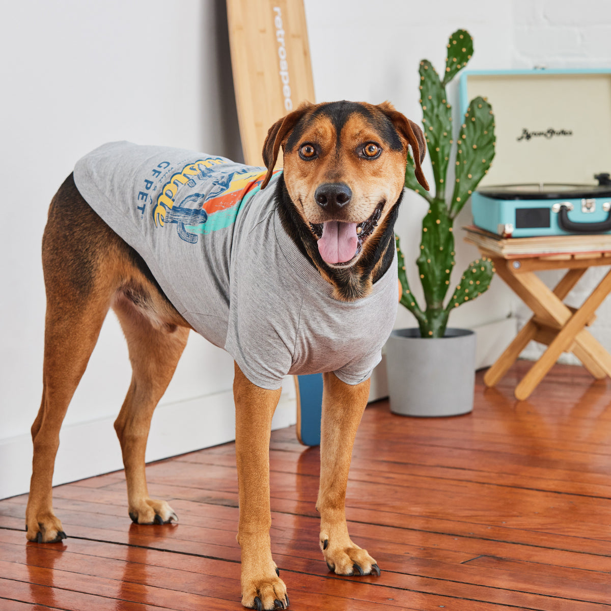 GF Pet Graphic Dog T Shirt in Heathergrey
