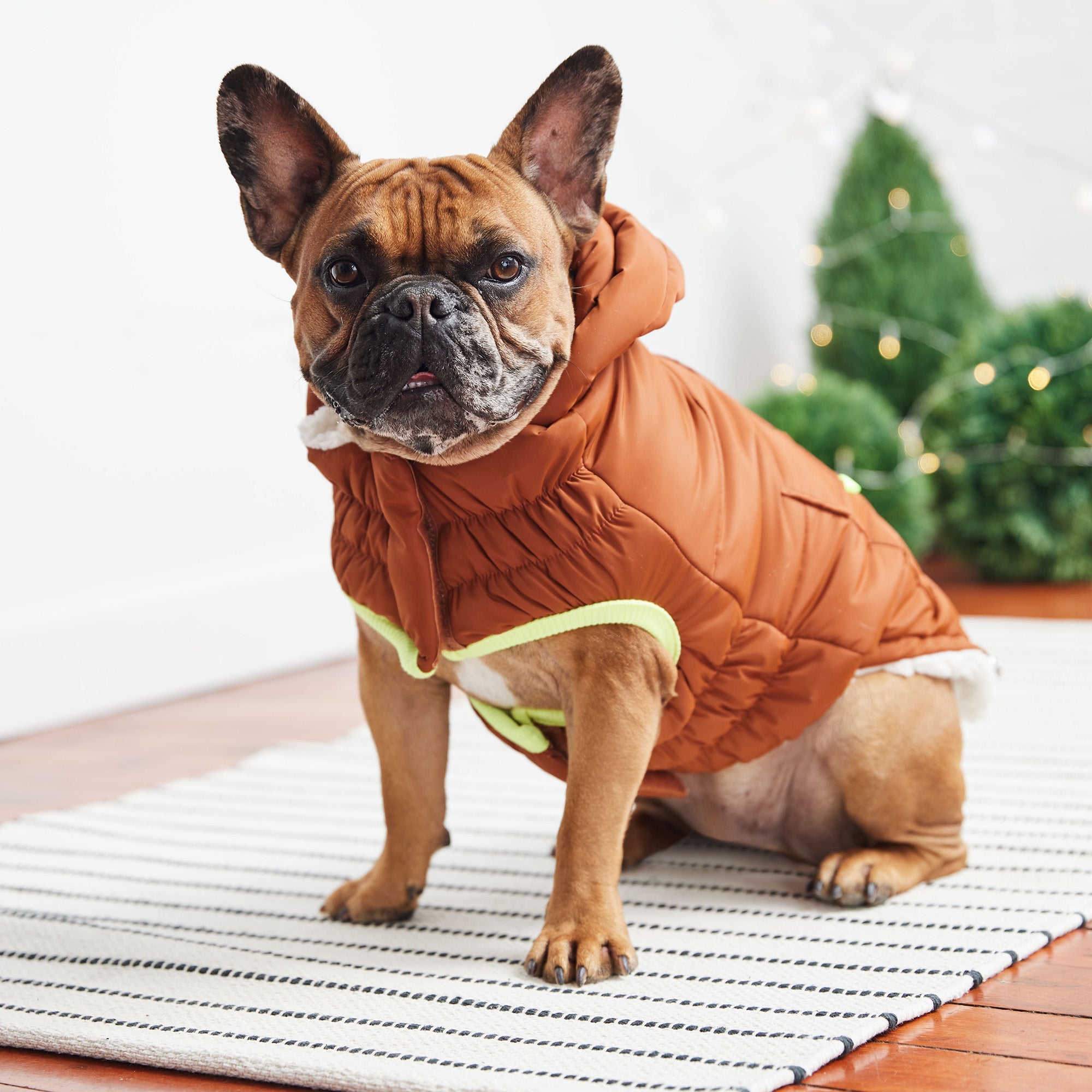 The Puff Parka - Hazel premium pet product