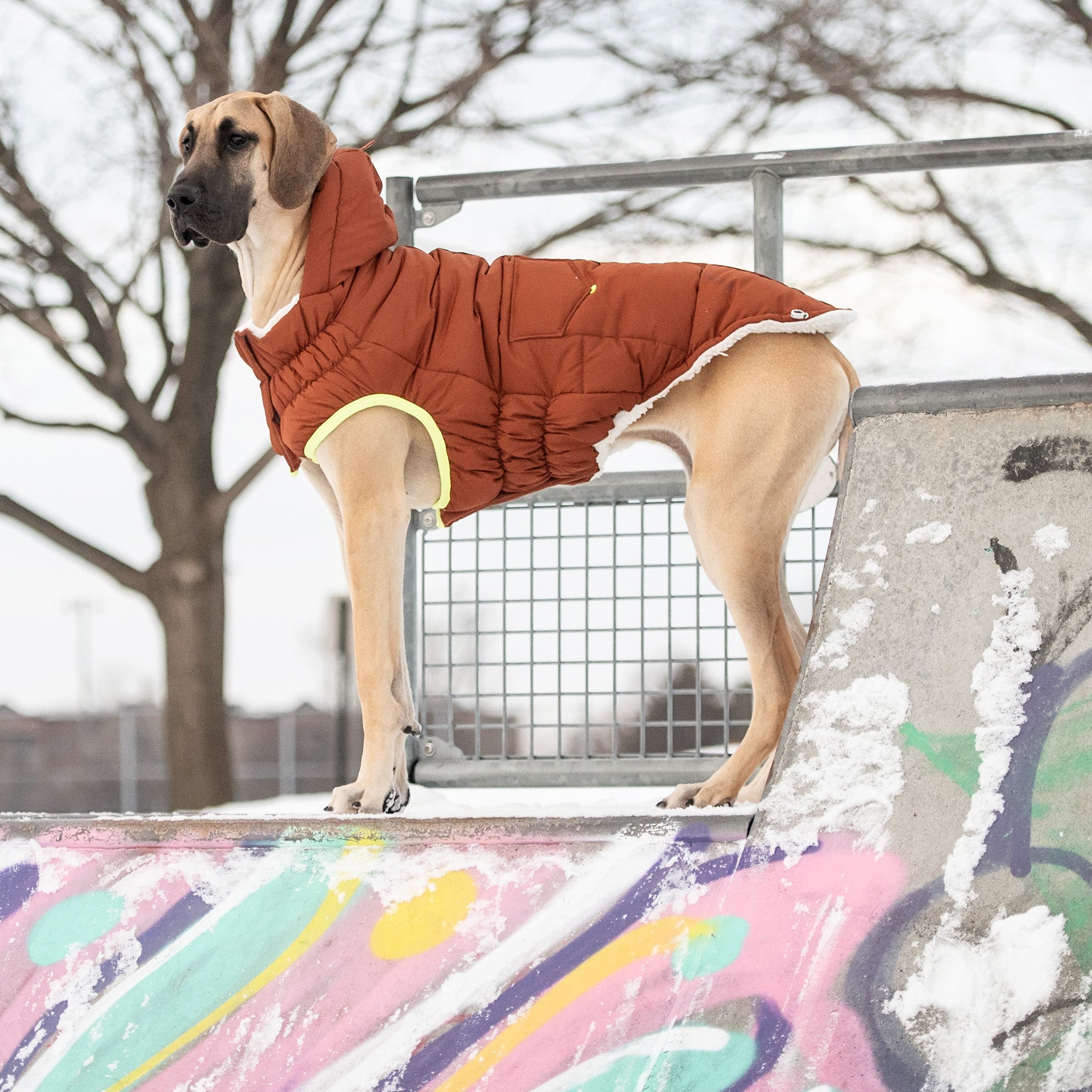 The Puff Parka - Hazel premium pet product