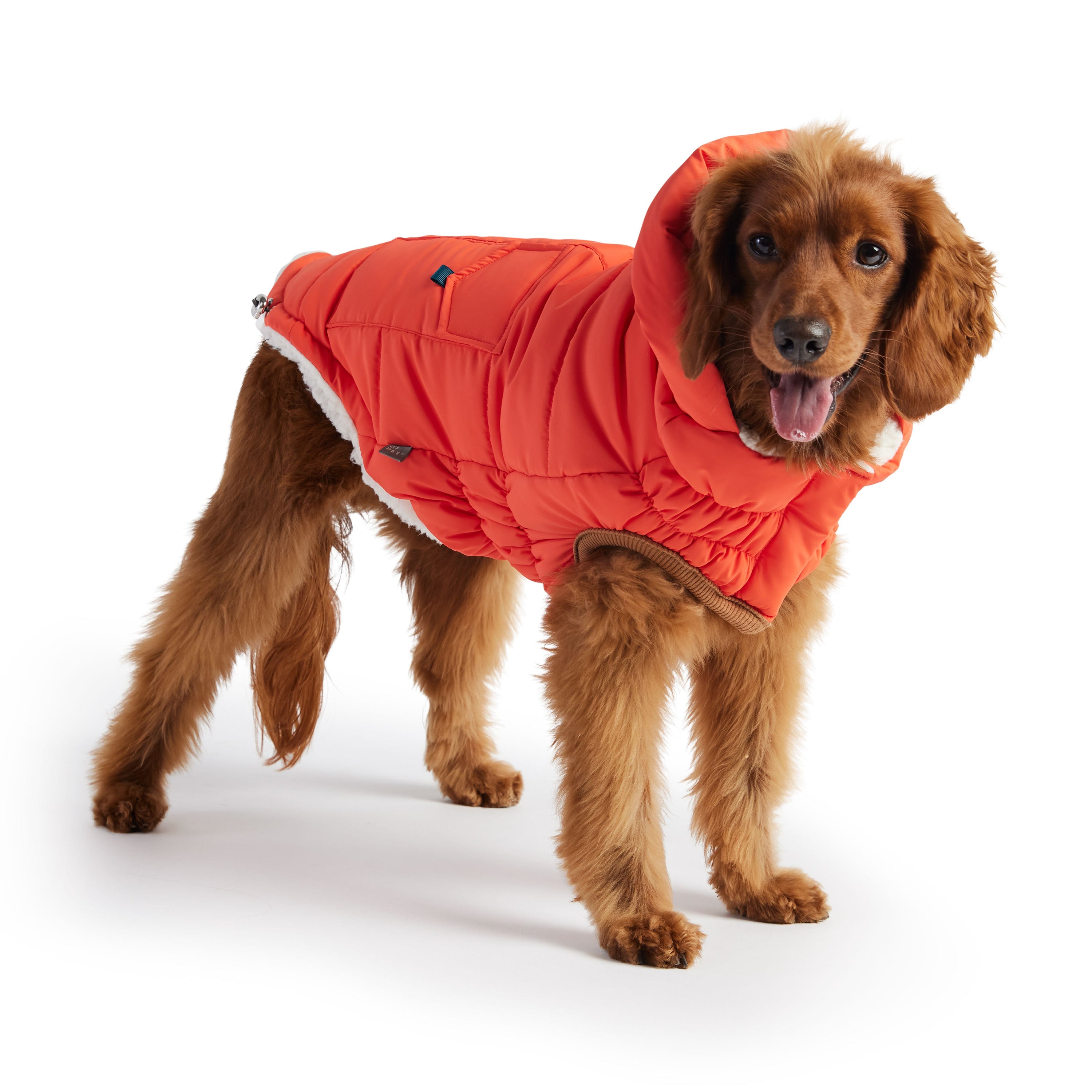 The Puff Parka - Orange premium pet product