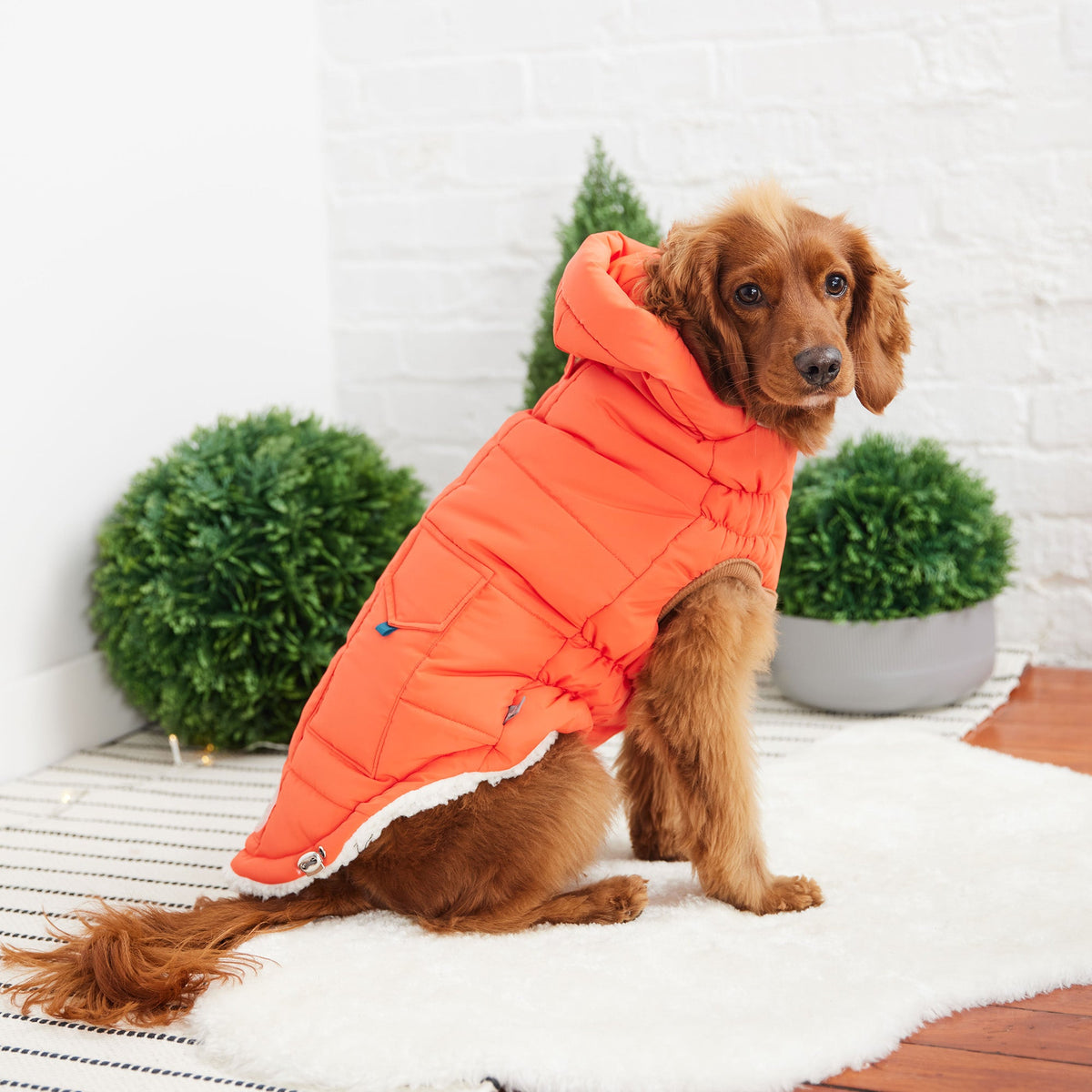 The Puff Parka - Orange premium pet product