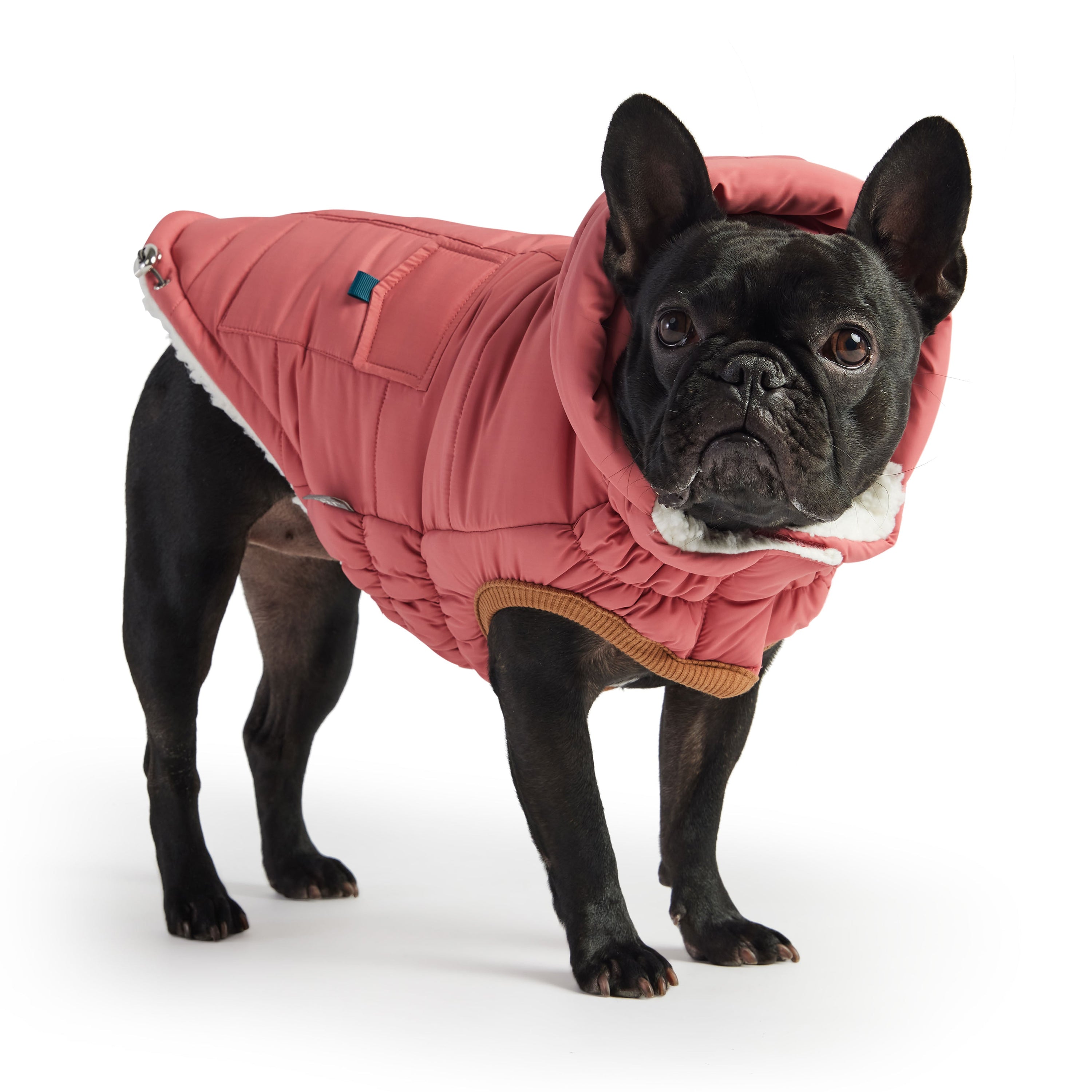 The Puff Parka - Pink premium pet product