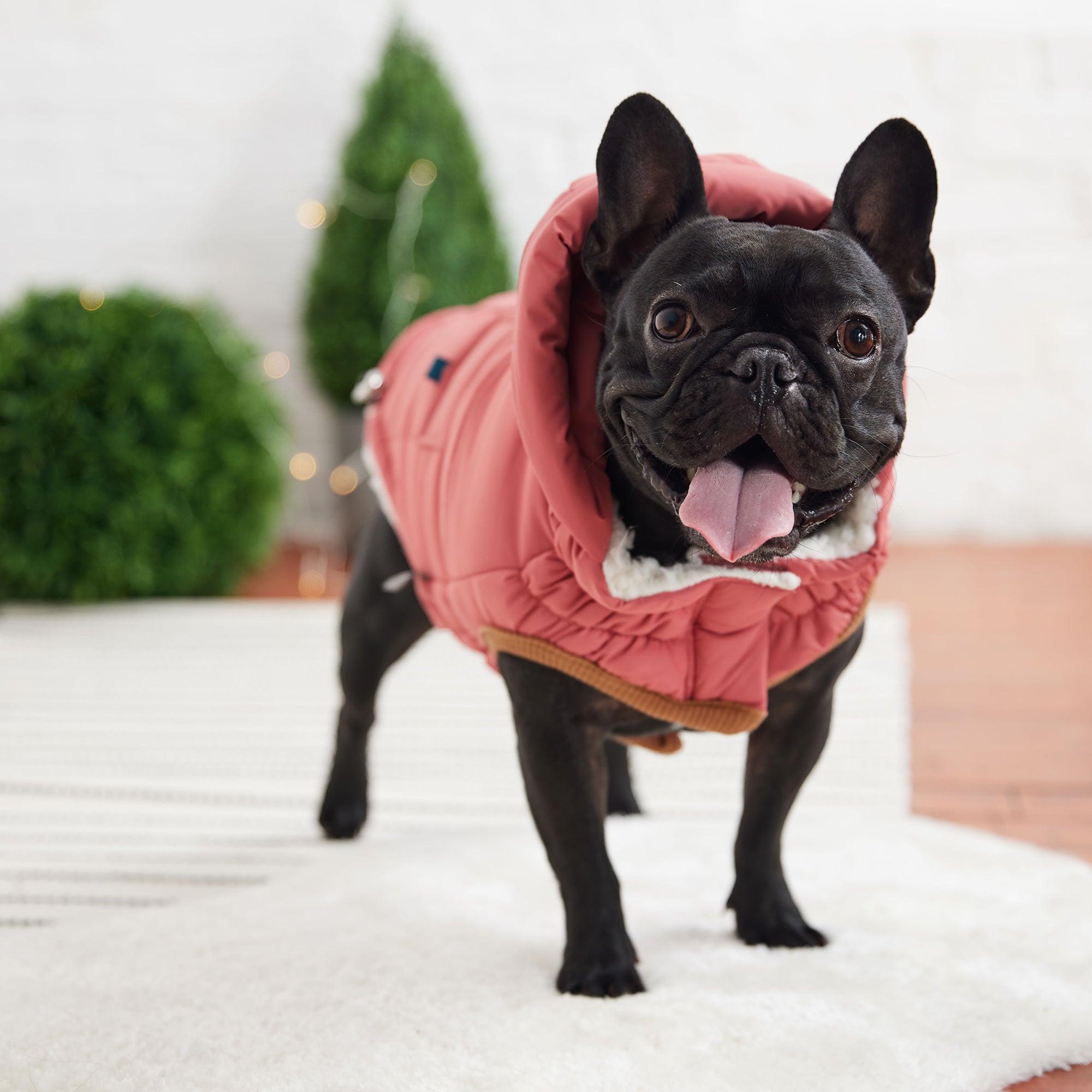 The Puff Parka - Pink premium pet product