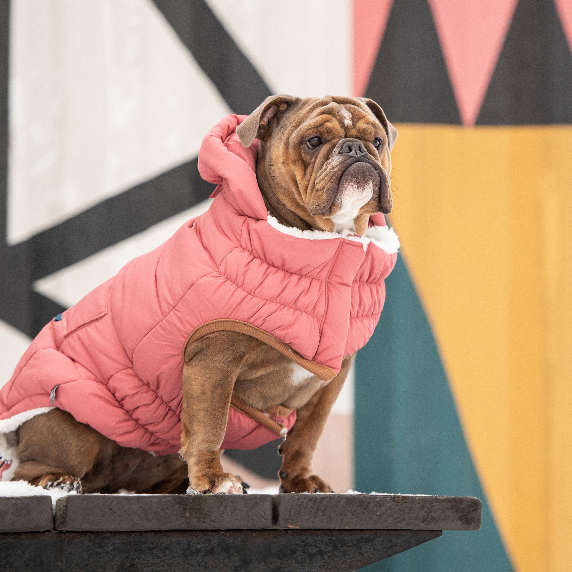 The Puff Parka - Pink premium pet product