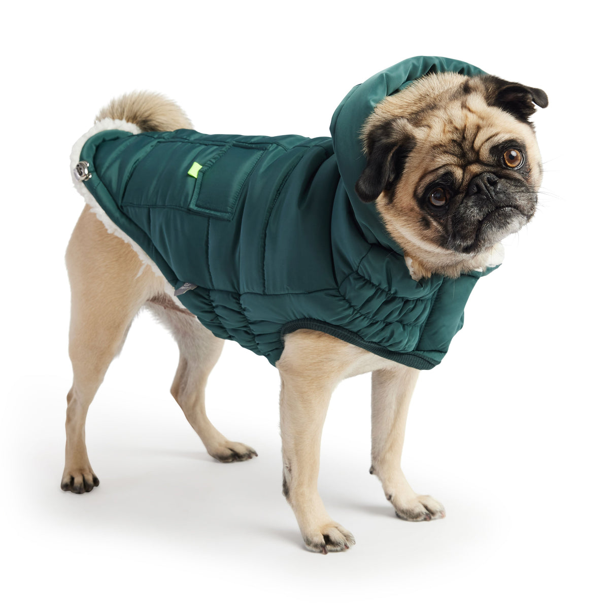 The Puff Parka - Teal premium pet product