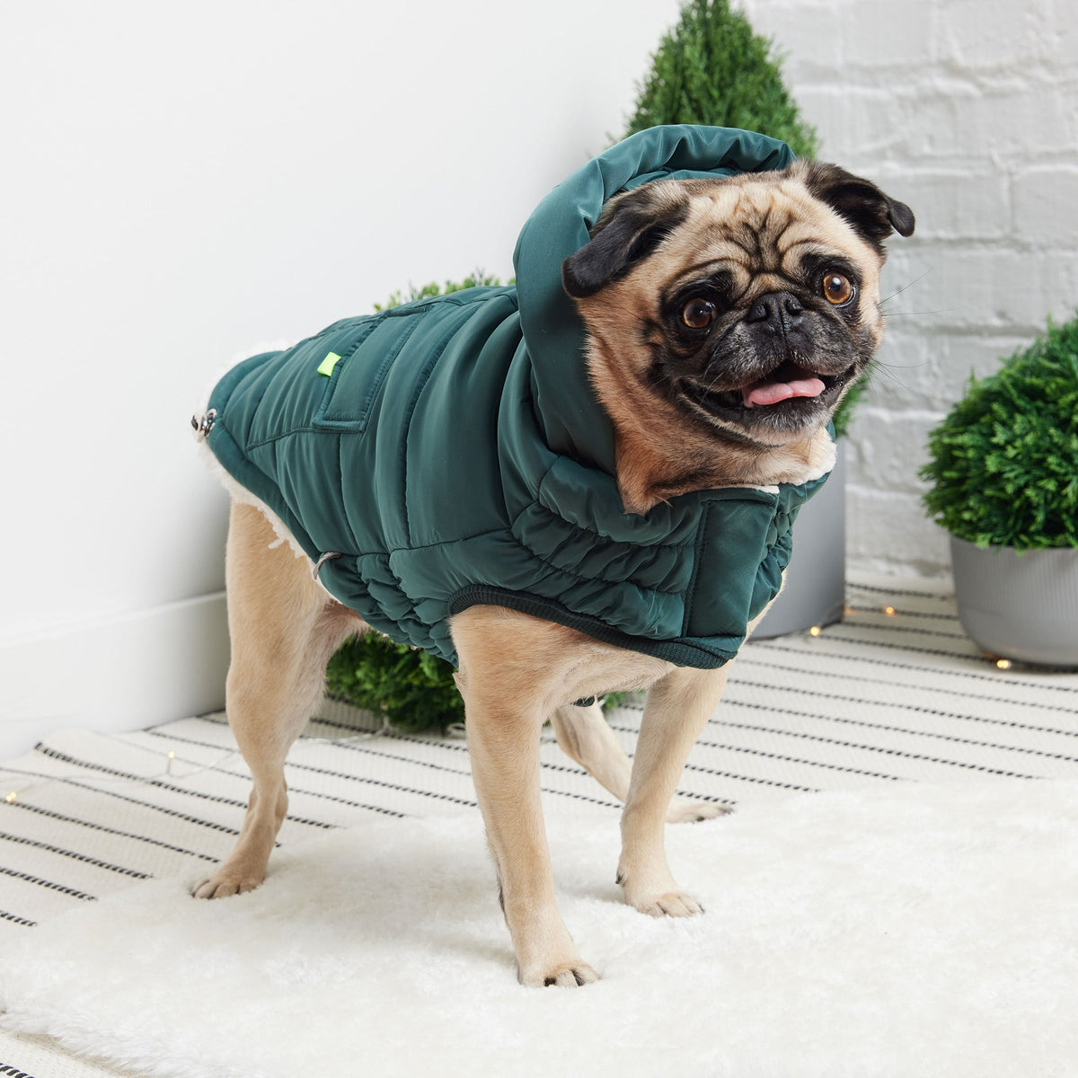 The Puff Parka - Teal premium pet product