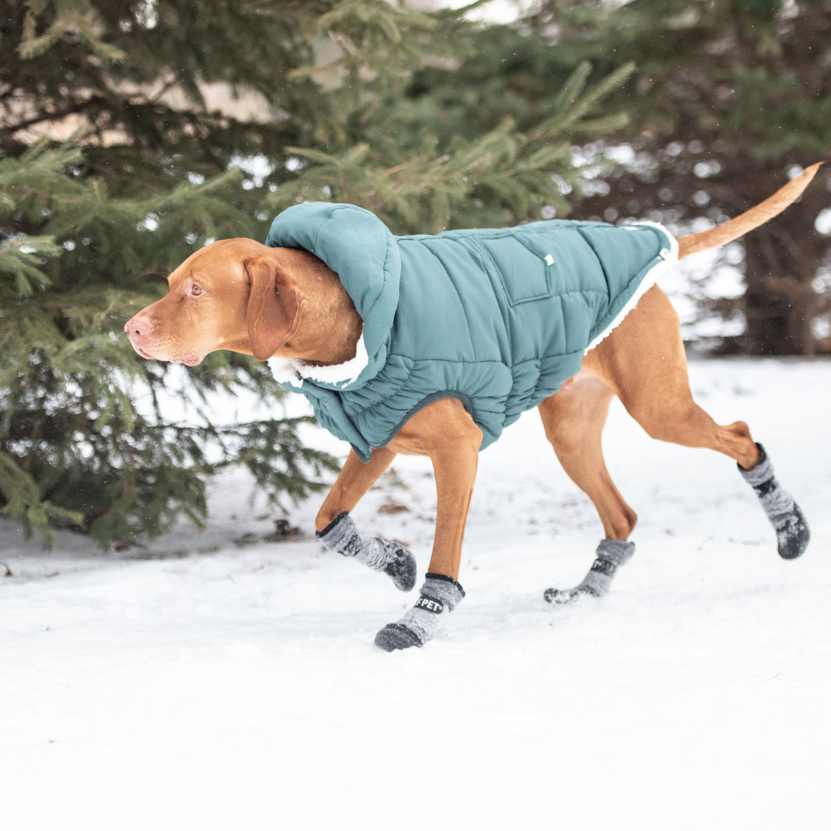 The Puff Parka - Teal premium pet product