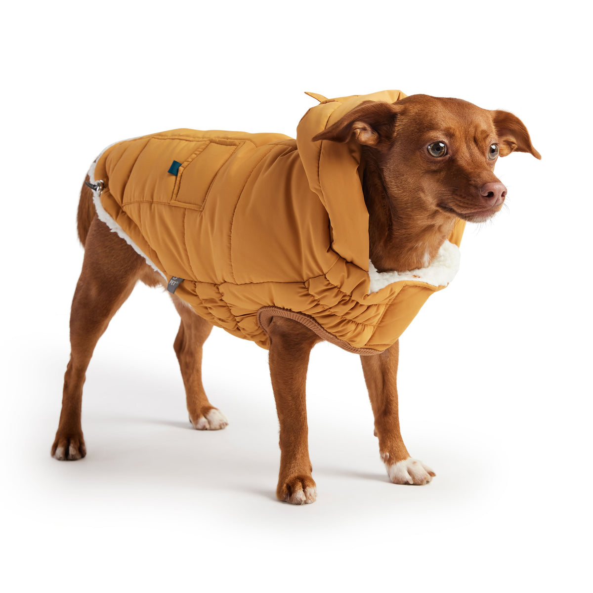 The Puff Parka - Yellow premium pet product
