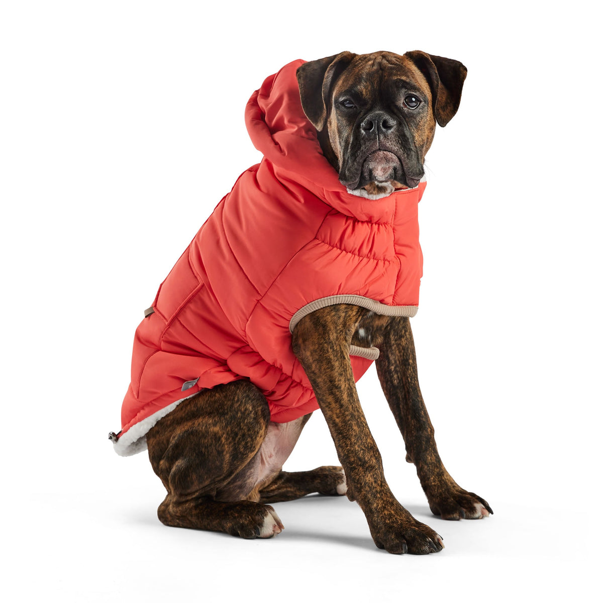 Nordic Parka premium pet product
