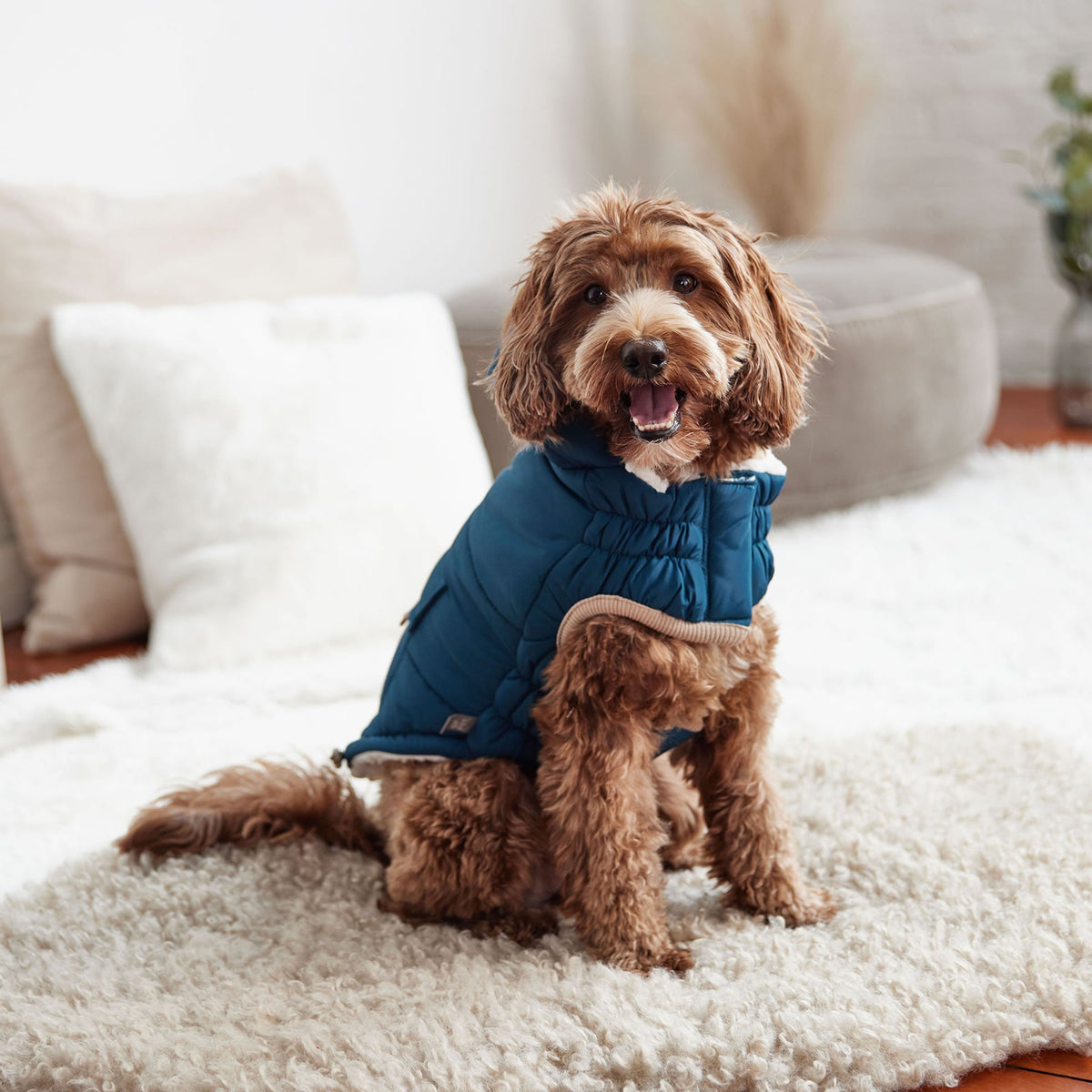 Nordic Parka premium pet product