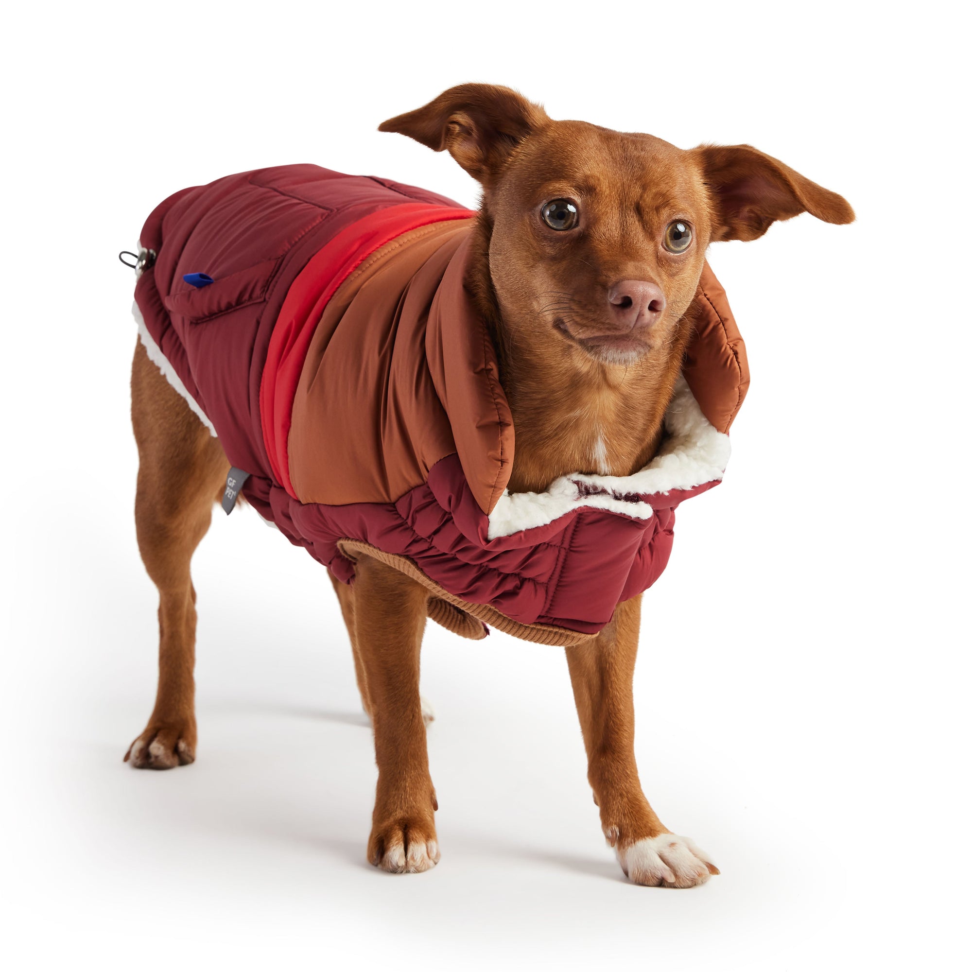Retro Puffer - Dark Red premium pet product