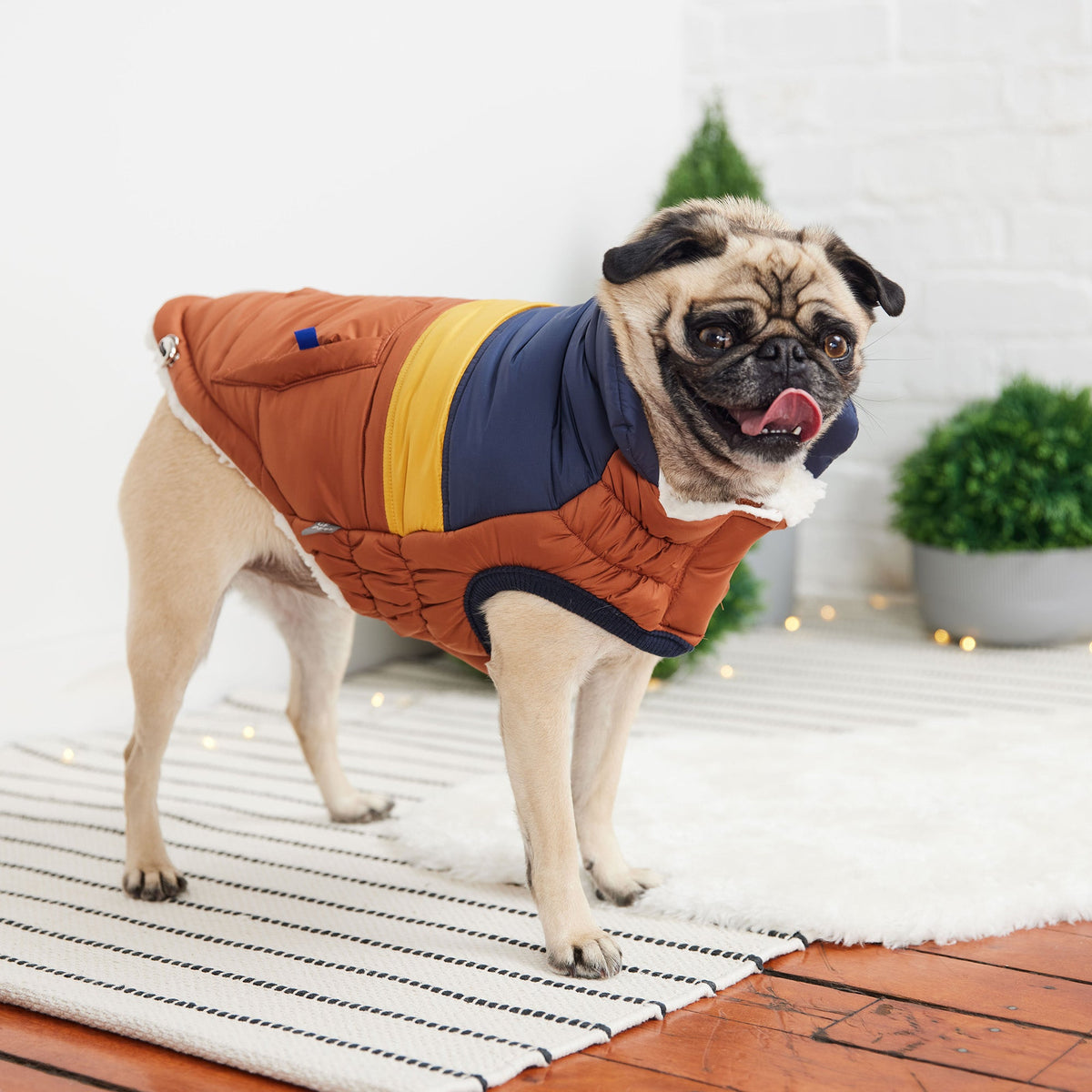 Retro Puffer - Hazel premium pet product