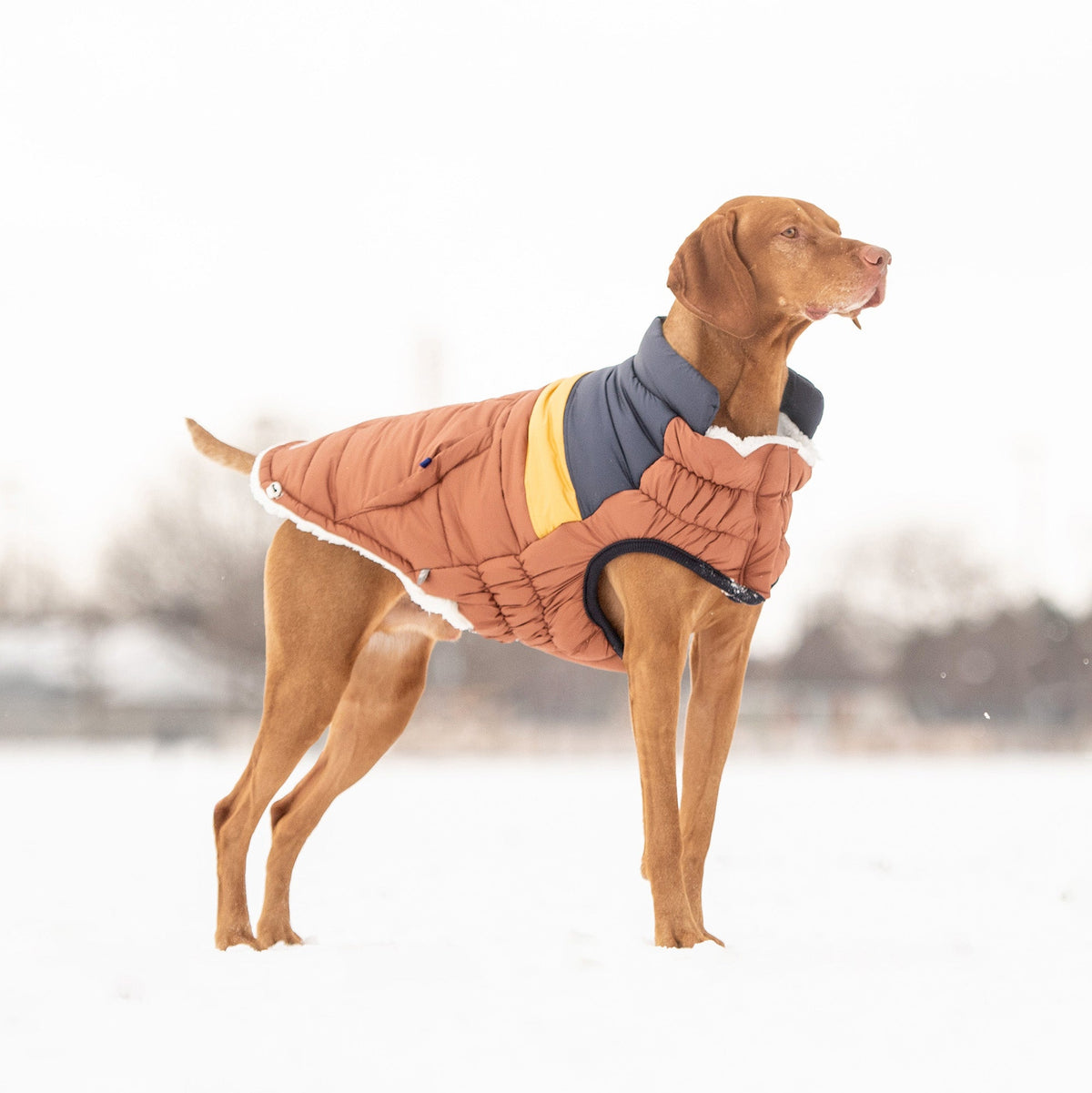 Retro Puffer - Hazel premium pet product