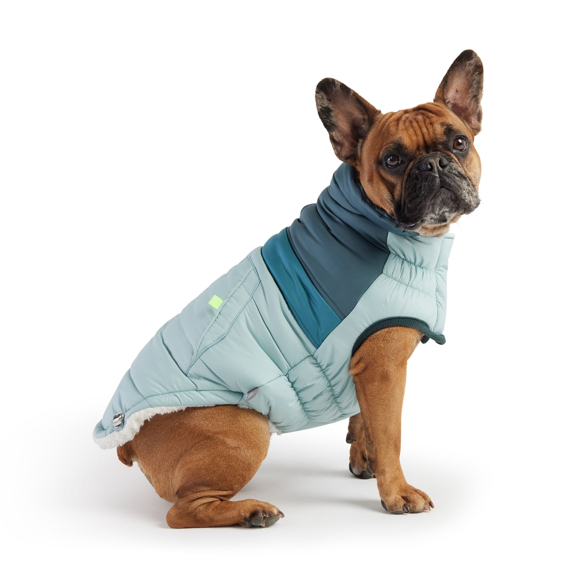 Retro Puffer - Light Blue premium pet product