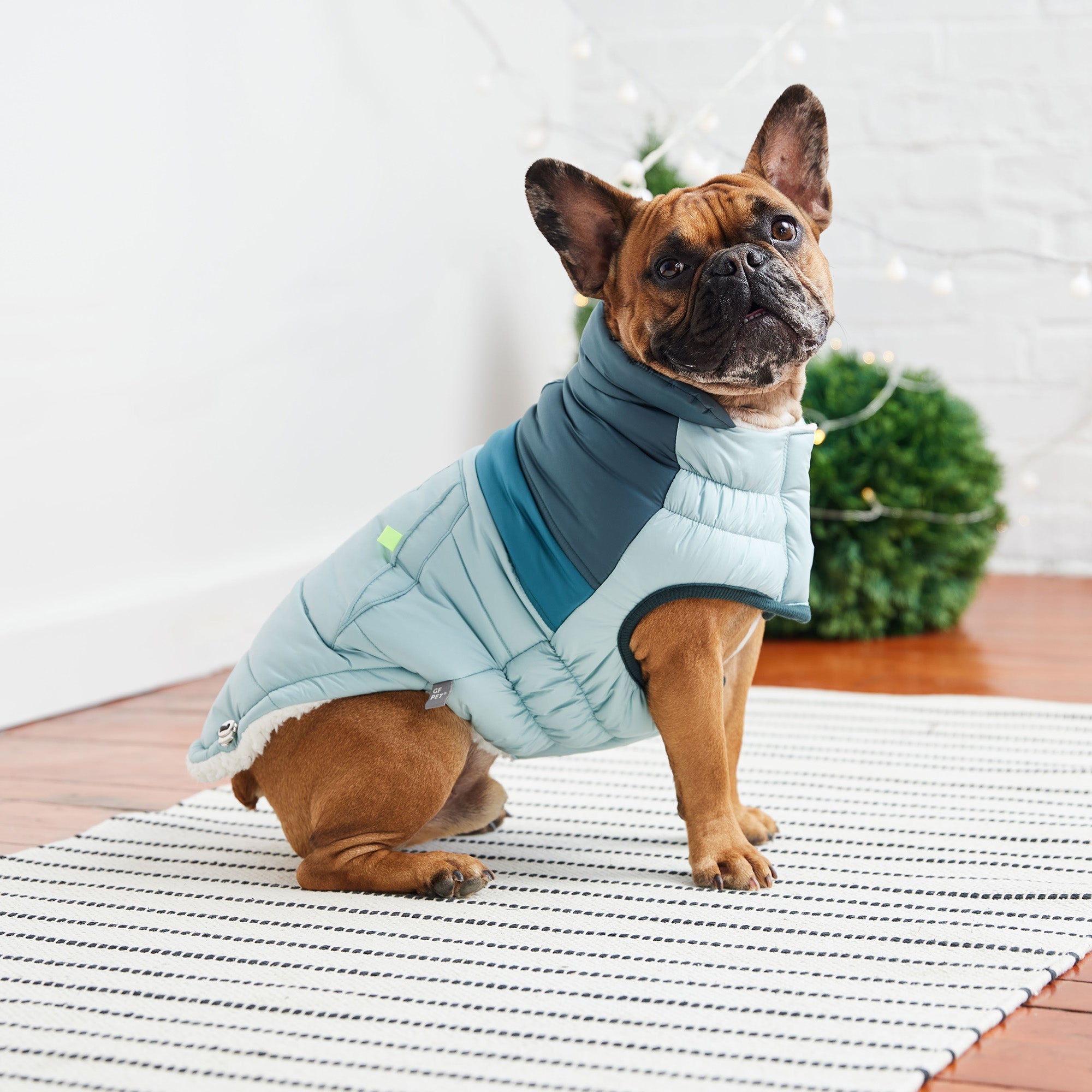 Retro Puffer - Light Blue premium pet product