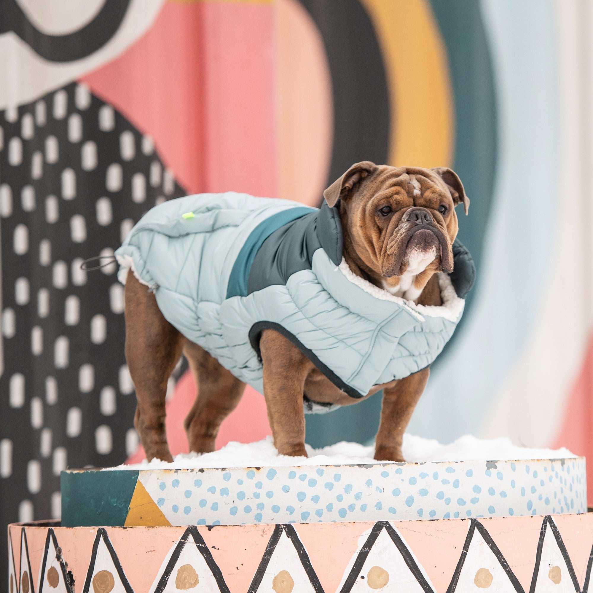 Retro Puffer - Light Blue premium pet product
