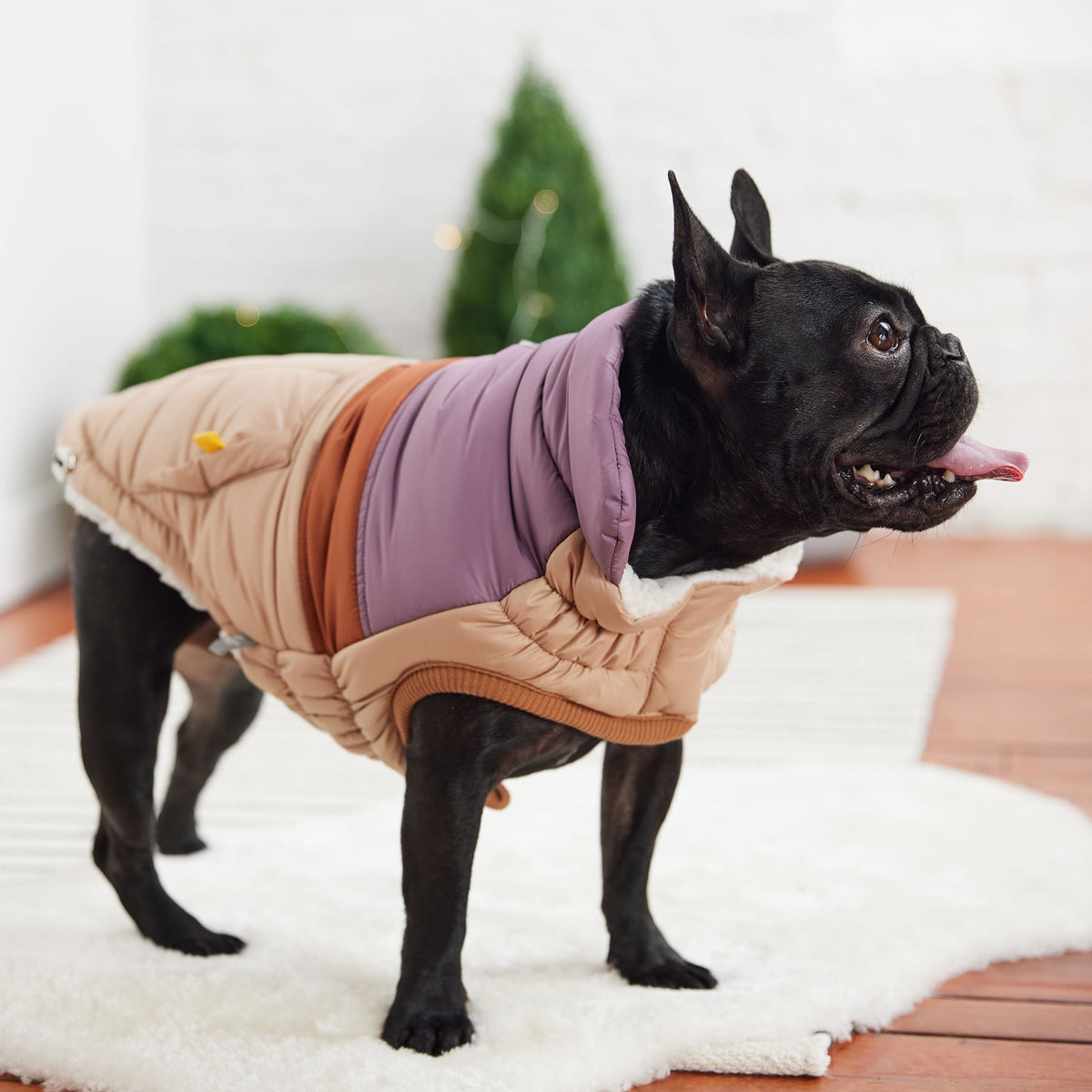 Retro Puffer - Sand premium pet product