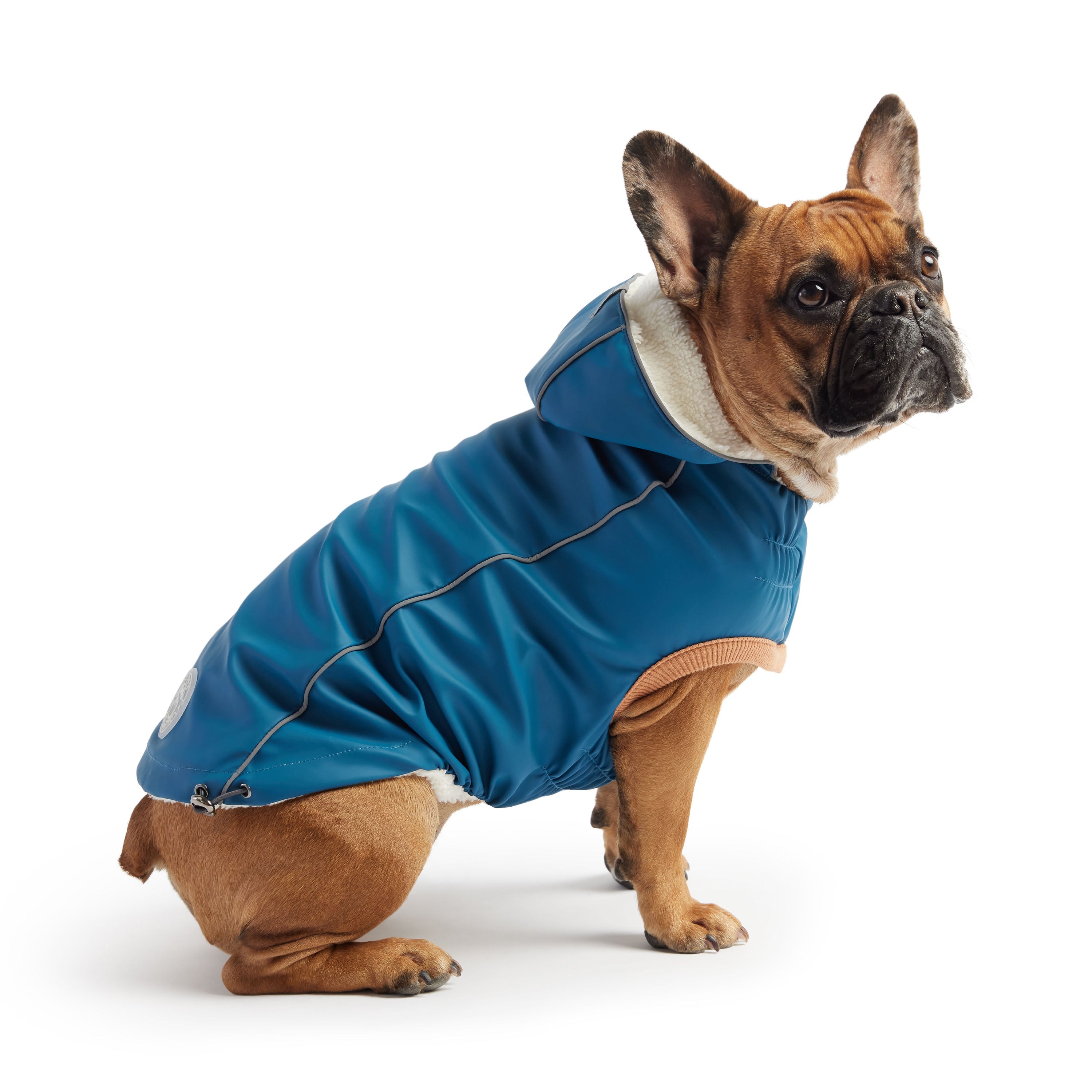 Insulated Raincoat - Dark Blue premium pet product