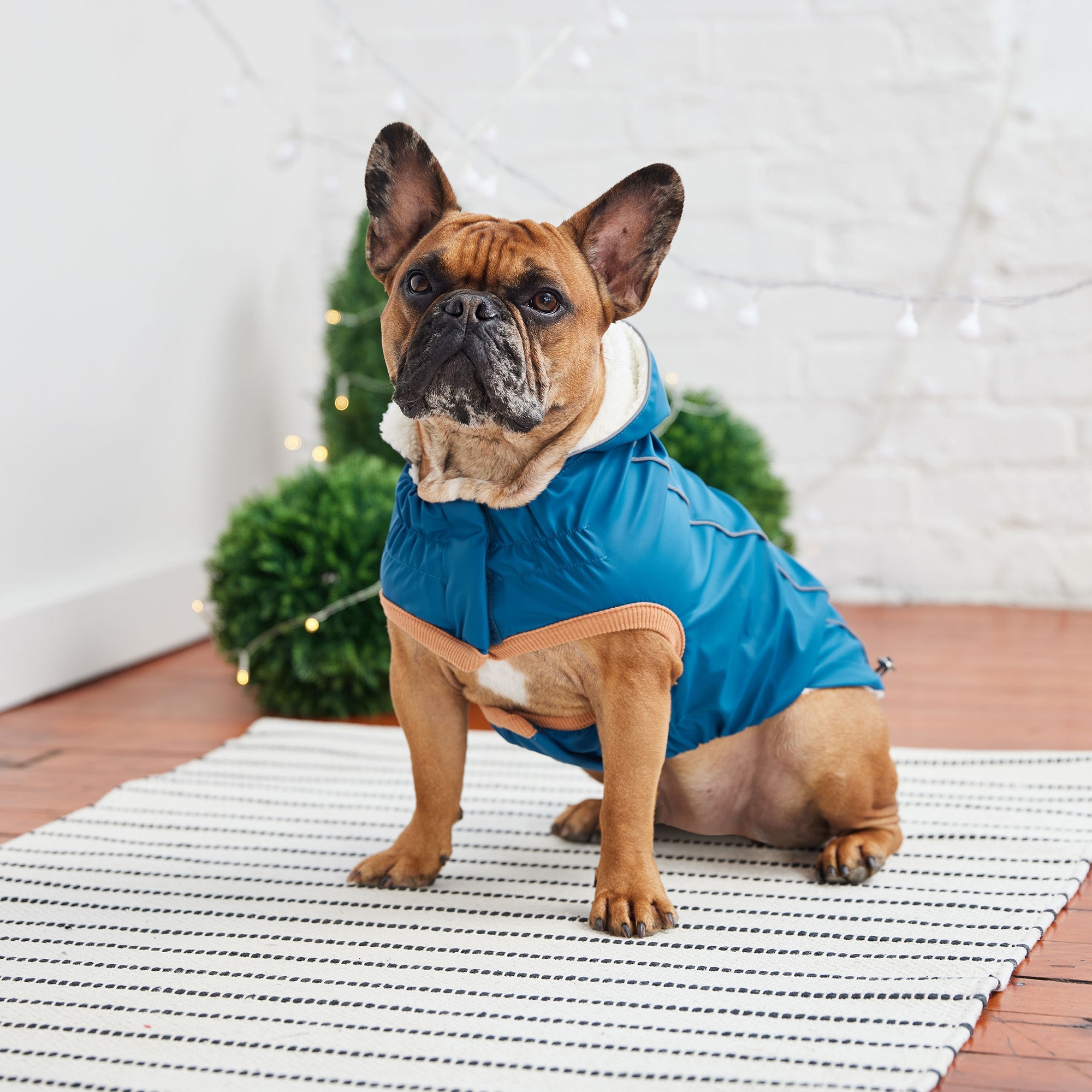 Insulated Raincoat - Dark Blue premium pet product