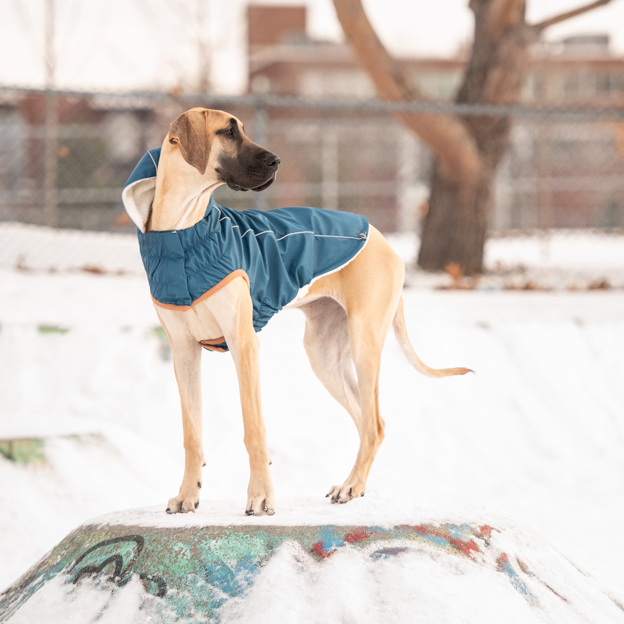 Insulated Raincoat - Dark Blue premium pet product