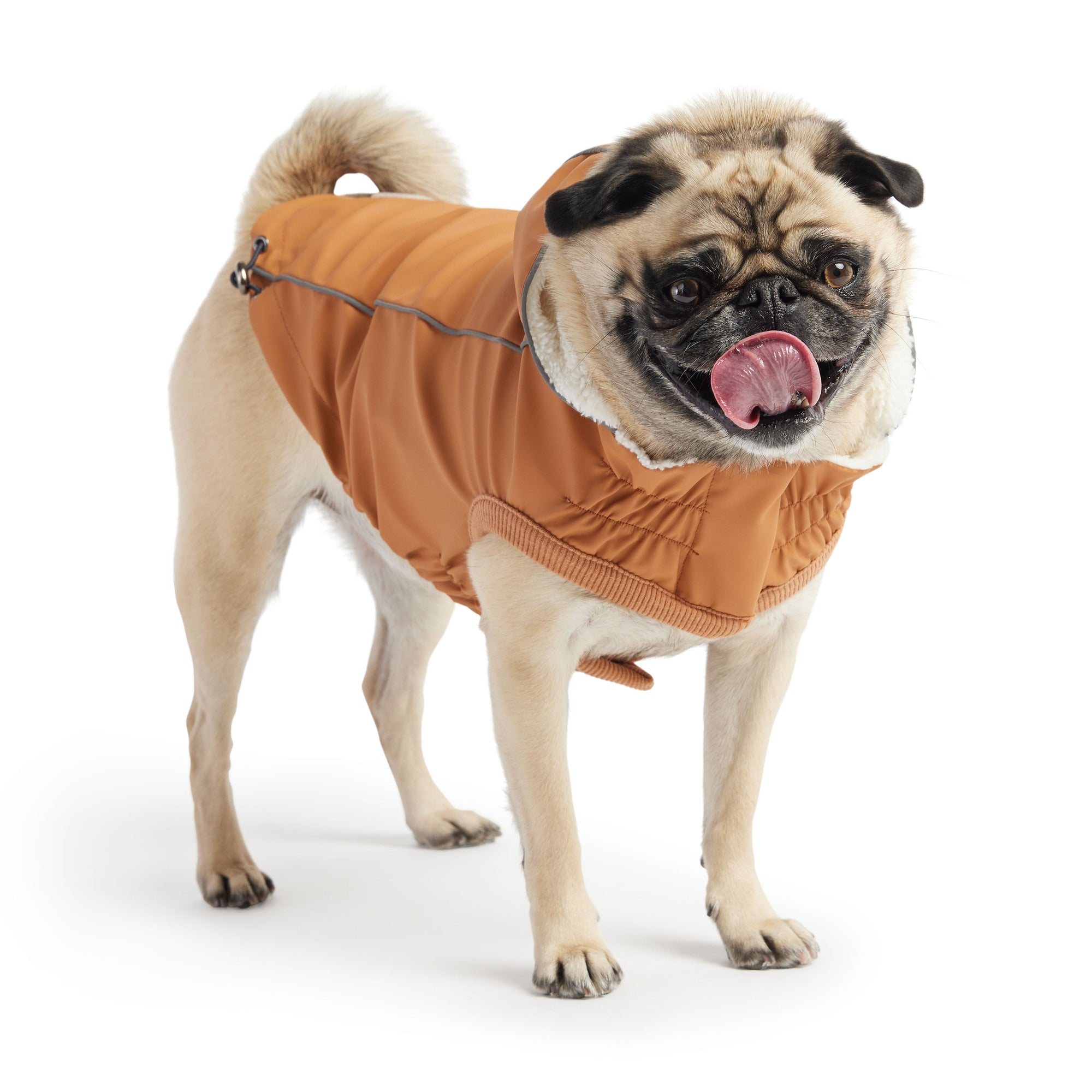 Insulated Raincoat - Hazel premium pet product