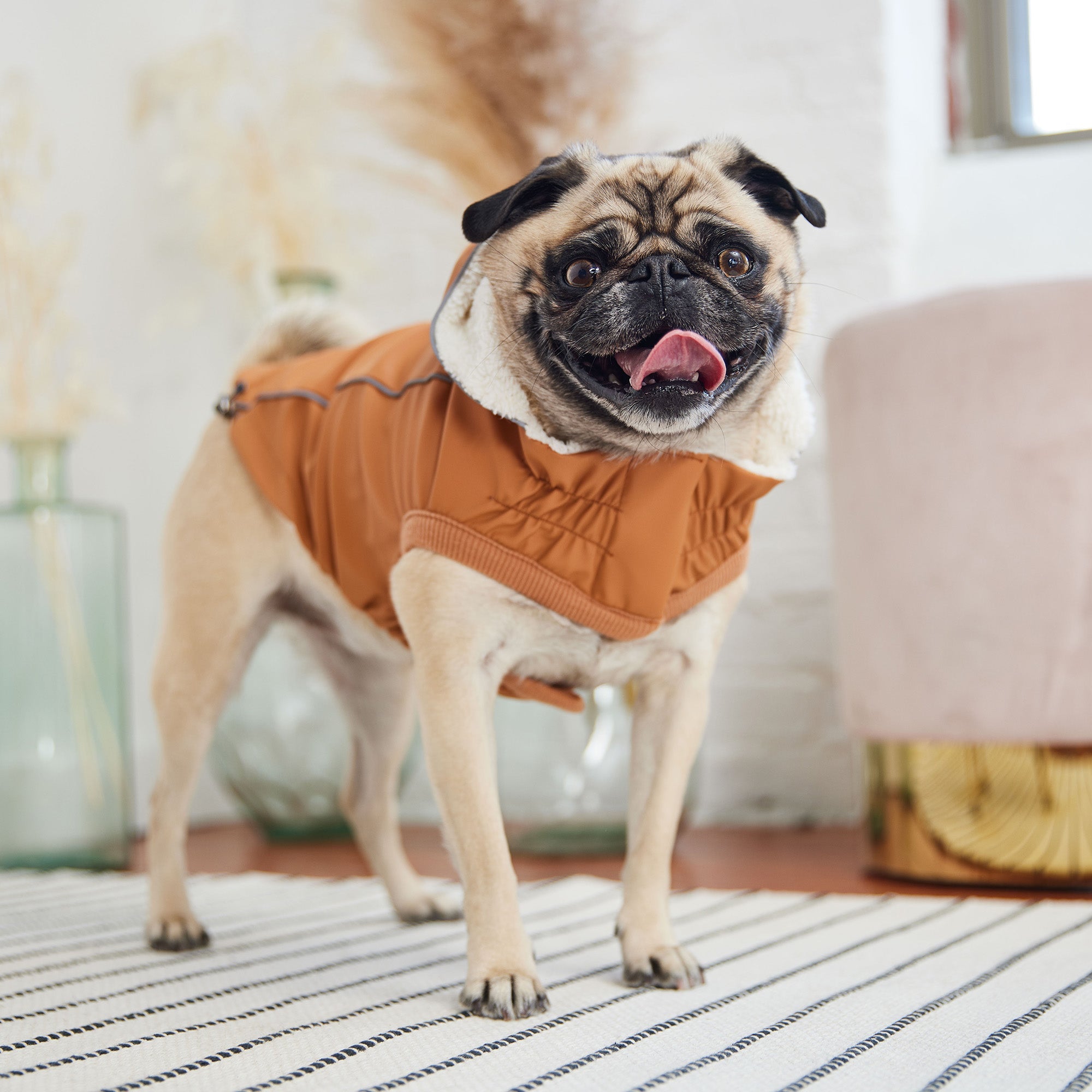 Insulated Raincoat - Hazel premium pet product
