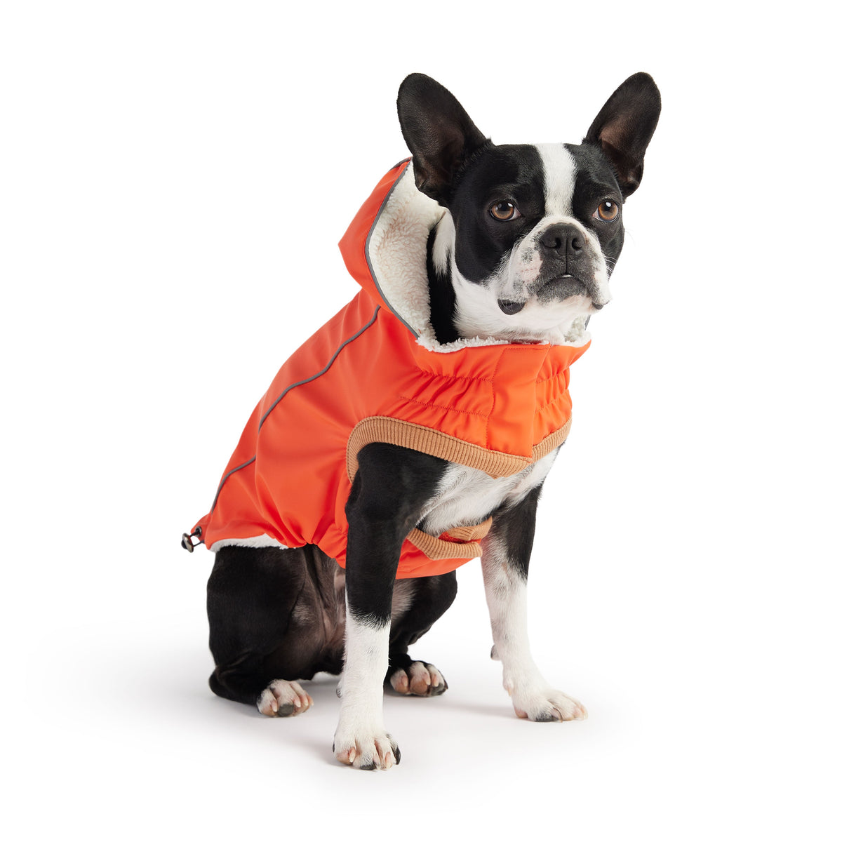 Insulated Raincoat - Orange premium pet product