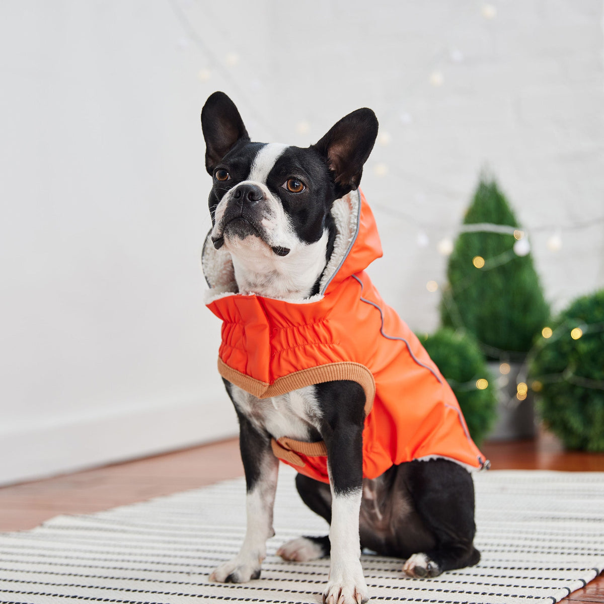 Insulated Raincoat - Orange premium pet product