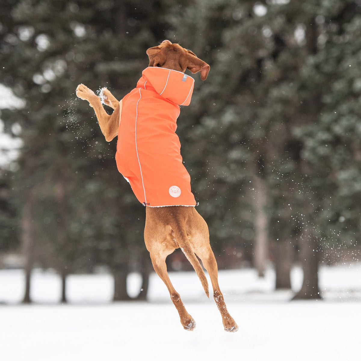 Insulated Raincoat - Orange premium pet product