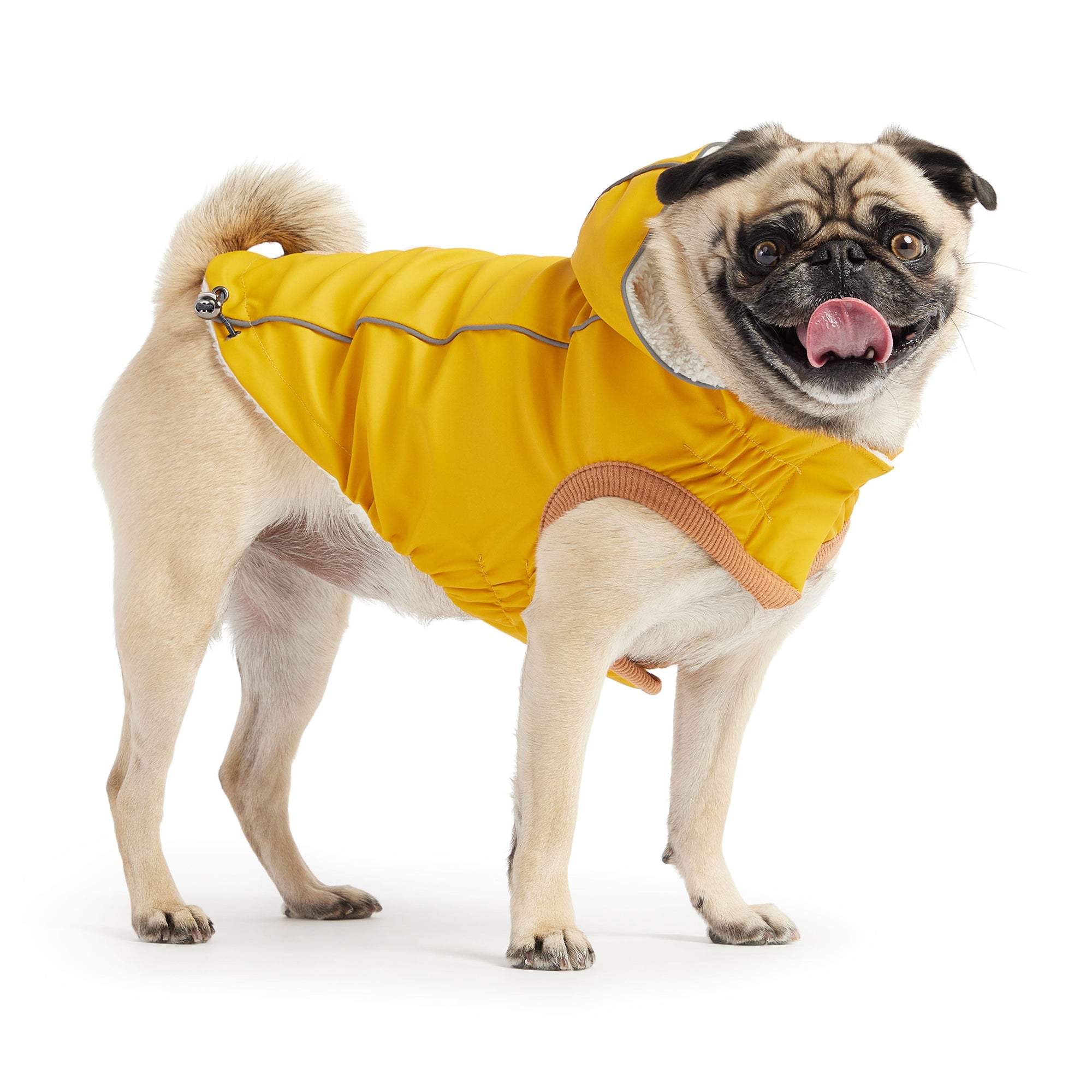 Insulated Raincoat - Yellow premium pet product